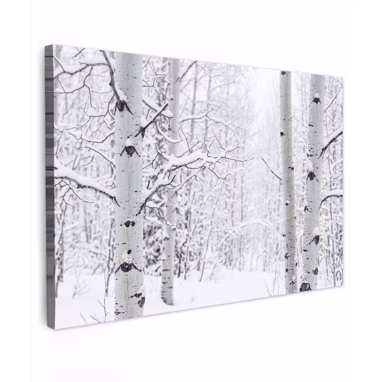 Berkenbomen - Sneeuw - Winter - Bos - Wit canvas 2cm klein -z3d