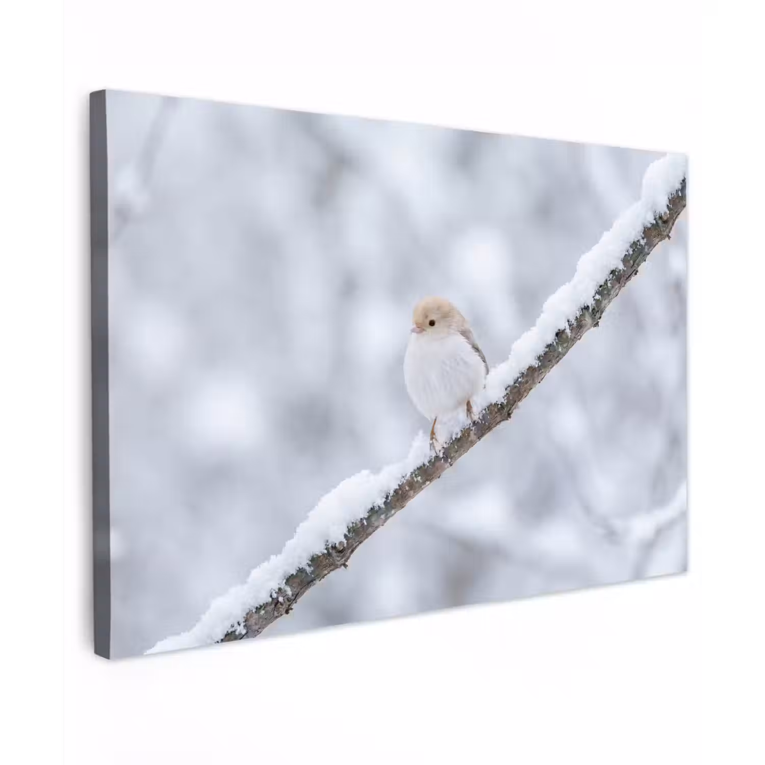 Vogeltje - Sneeuw - Tak - Winter - Zacht canvas 2cm klein -z3d
