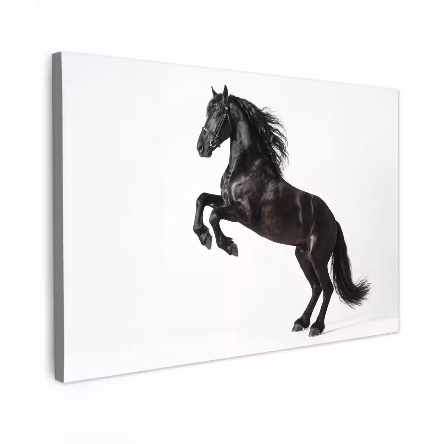 Zwart - Paard - Portret canvas 2cm klein -z3d