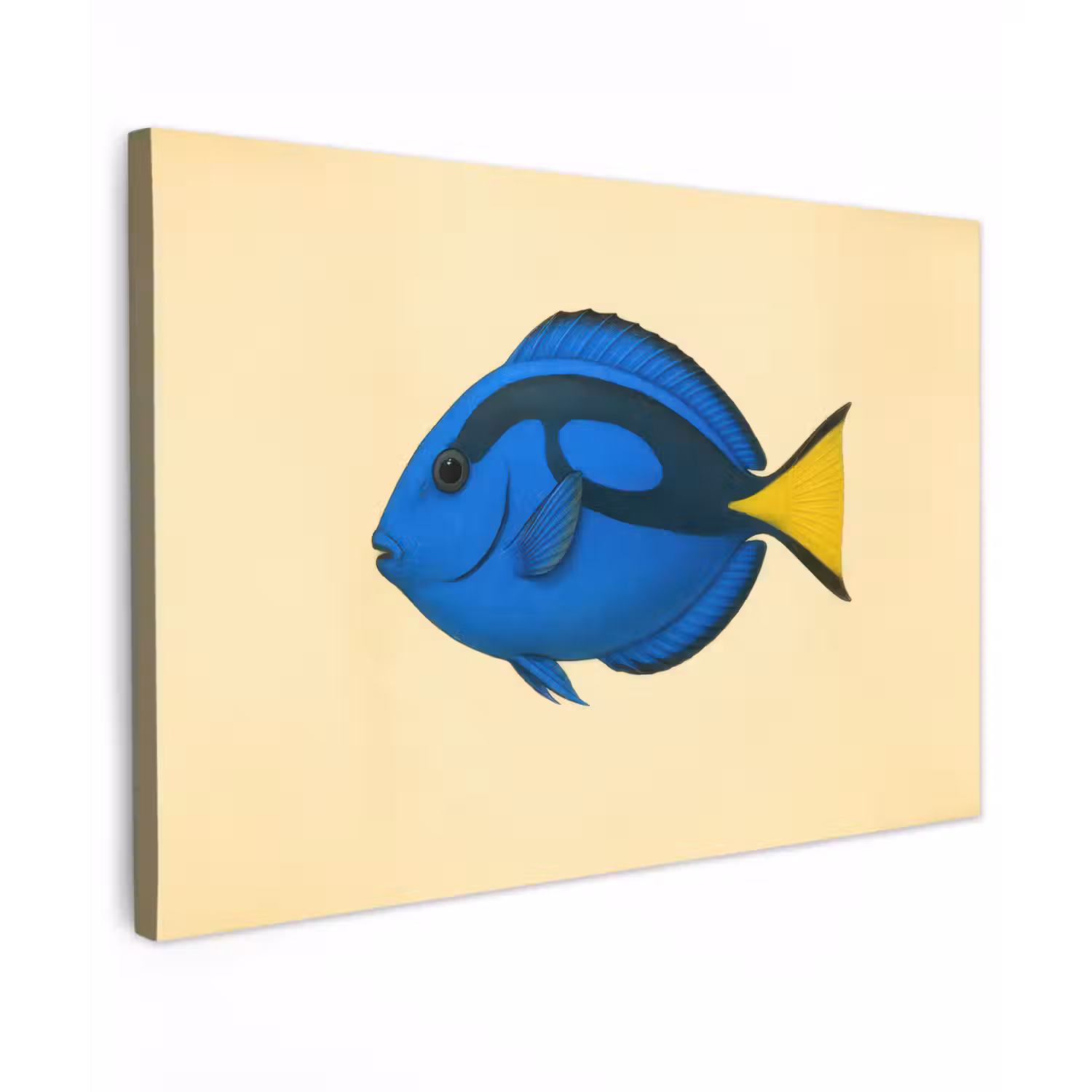 Blauw - Dory - Vis - Staartvin canvas 2cm klein -z3d
