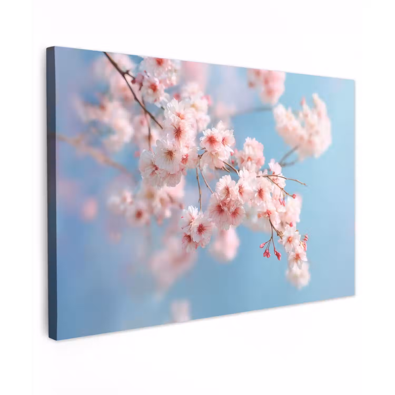 Takken - Bloesems - Roze canvas 2cm klein -z3d