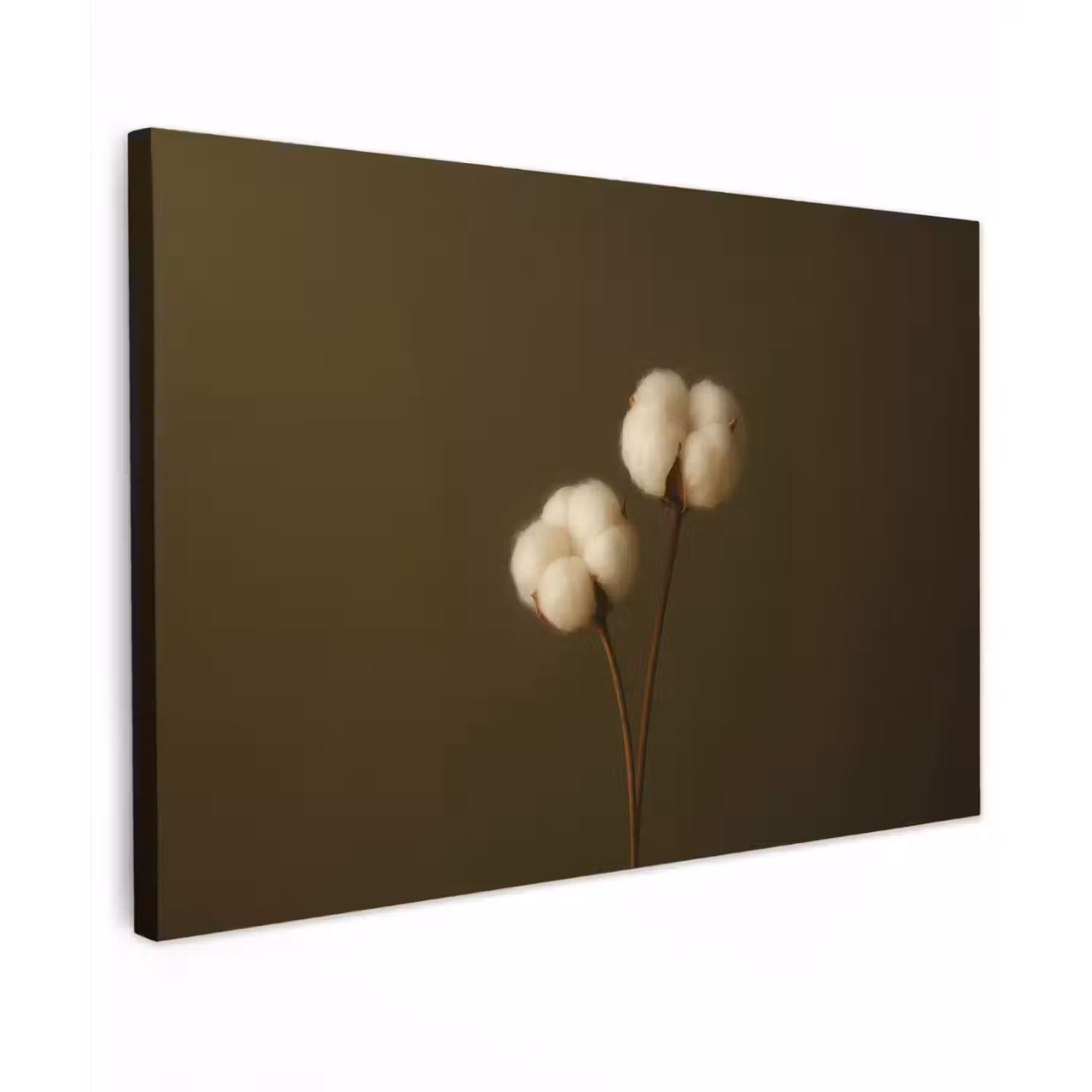 Takken - Katoen - Wit - Bollen canvas 2cm klein -z3d