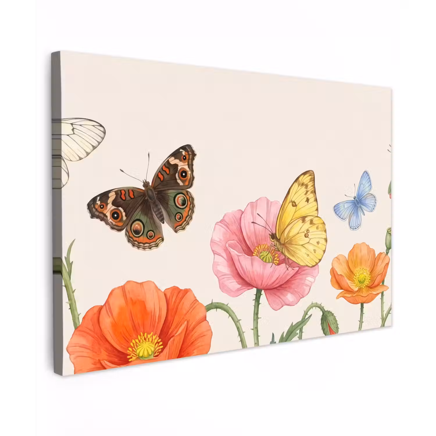 Vlinders - Klaprozen - Illustratie - Kleurrijk canvas 2cm klein -z3d