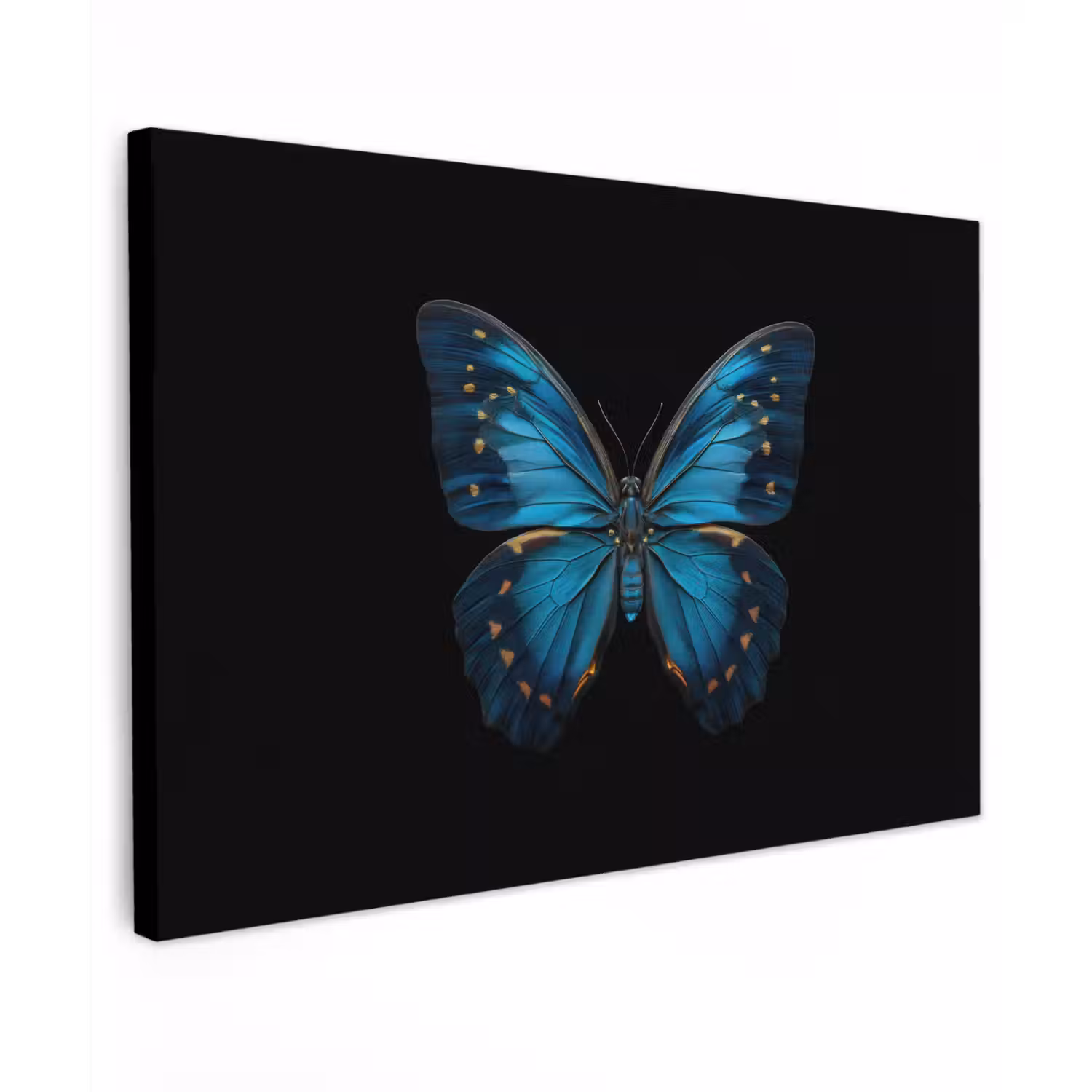 Vlinder - Blauw - Contrast canvas 2cm klein -z3d