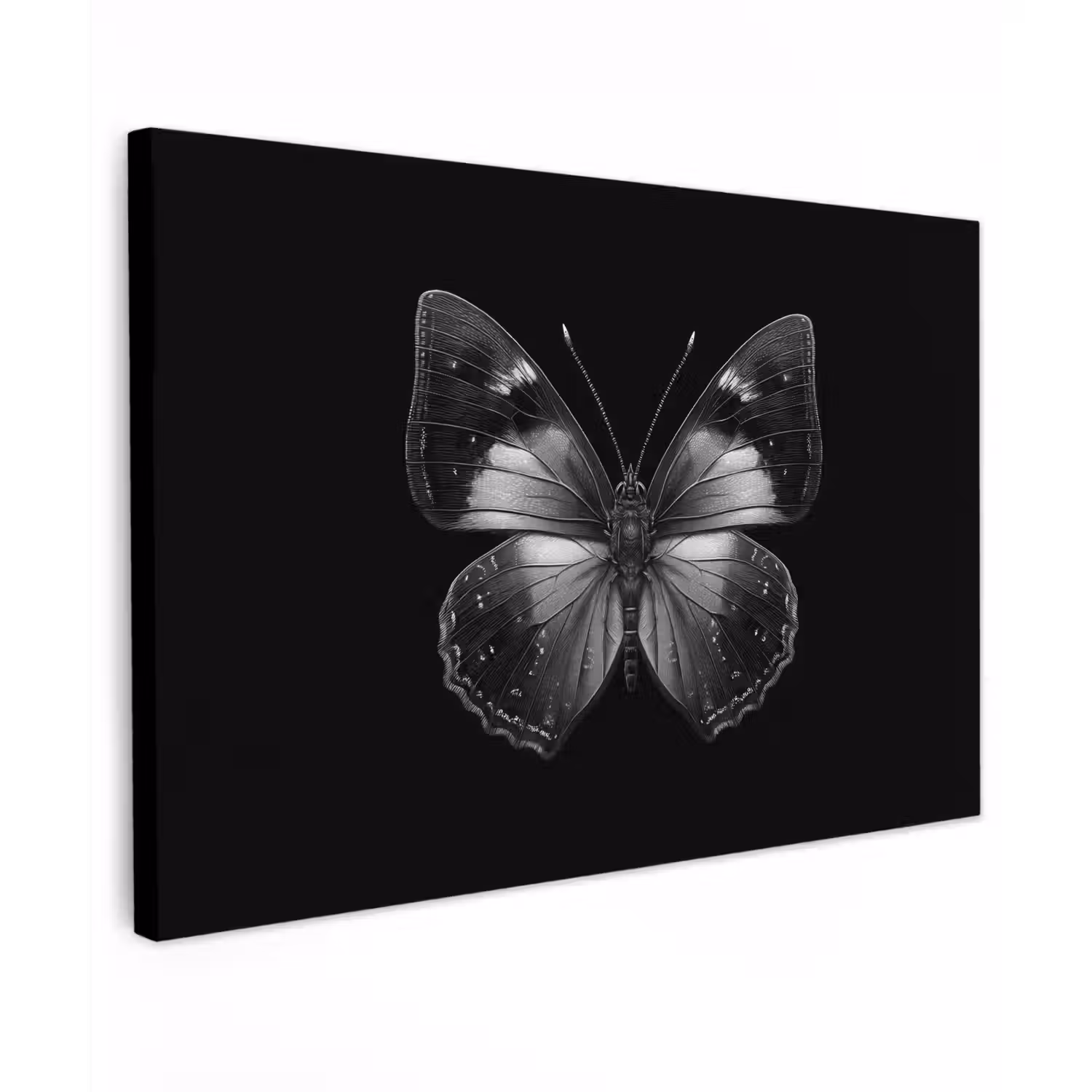 Vlinder - Grijs - Mysterieus canvas 2cm klein -z3d