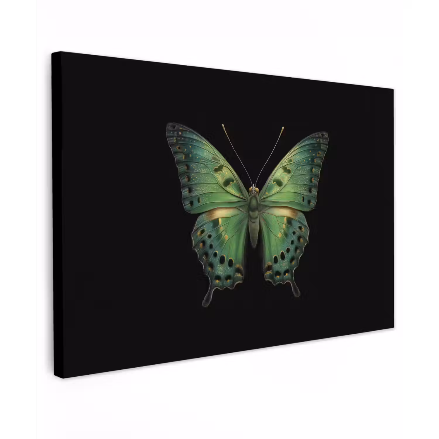 Vlinder - Groen - Diepte canvas 2cm klein -z3d
