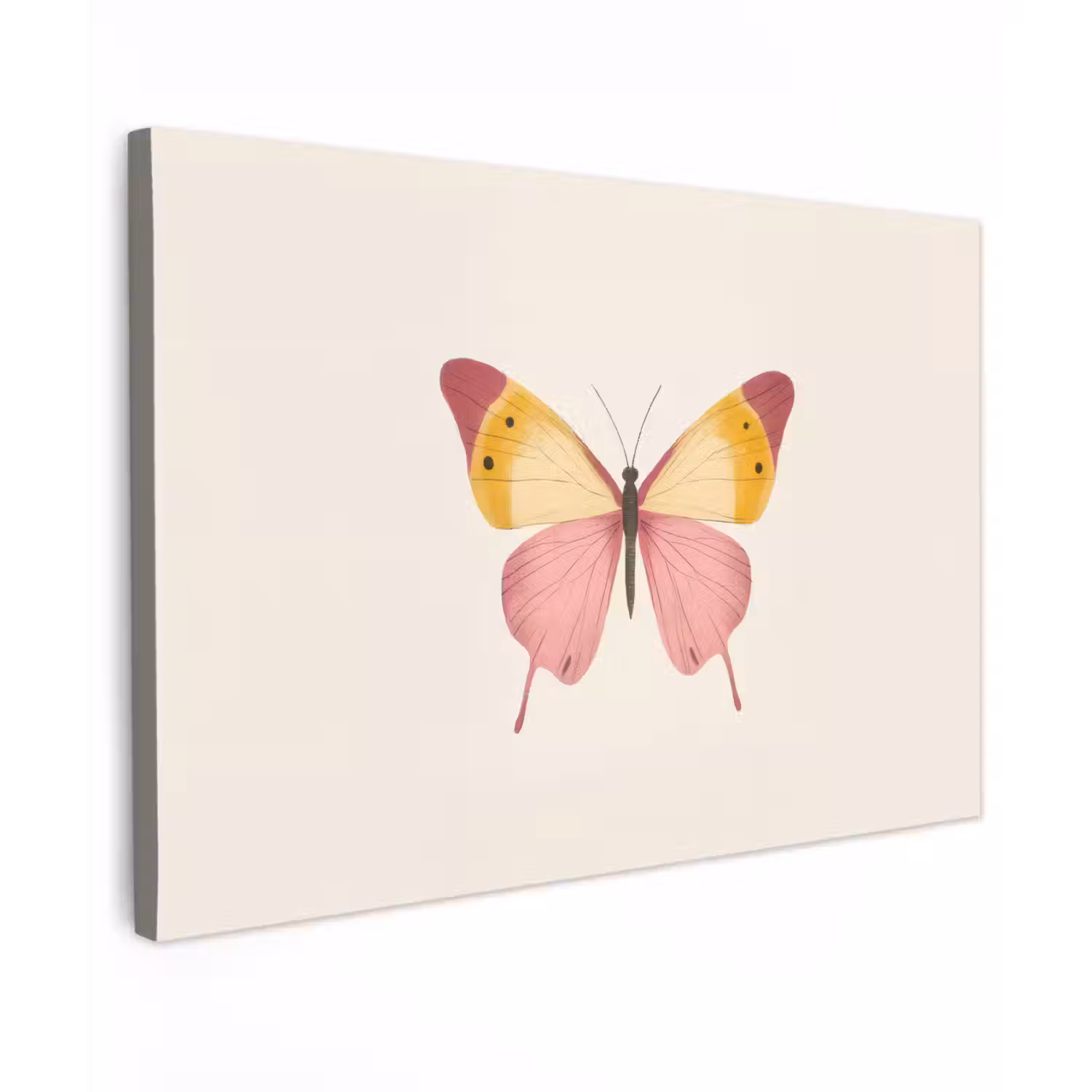 Vlinder - Illustratie - Roze canvas 2cm klein -z3d