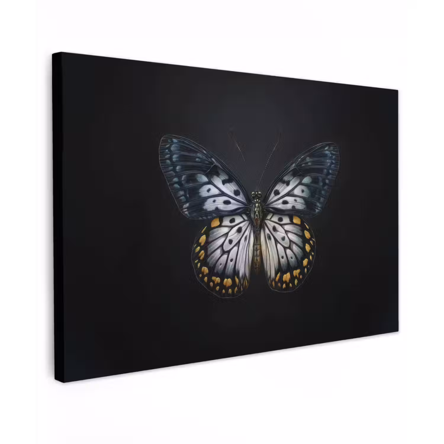 Vlinder - Monochroom - Balans canvas 2cm klein -z3d