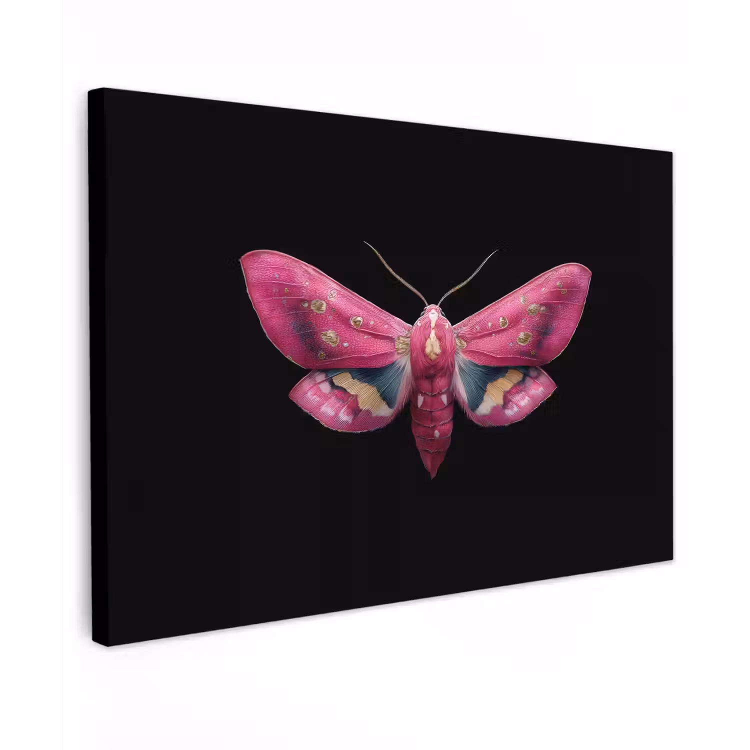 Vlinder - Roze - Nachtvlinder canvas 2cm klein -z3d