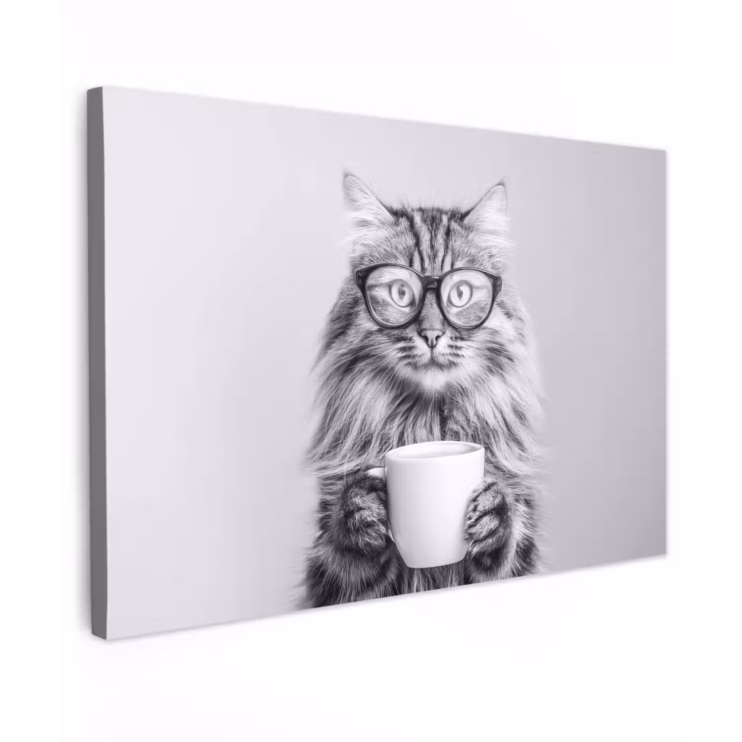 Kat - Bril - Mok - Pluizig canvas 2cm klein -z3d