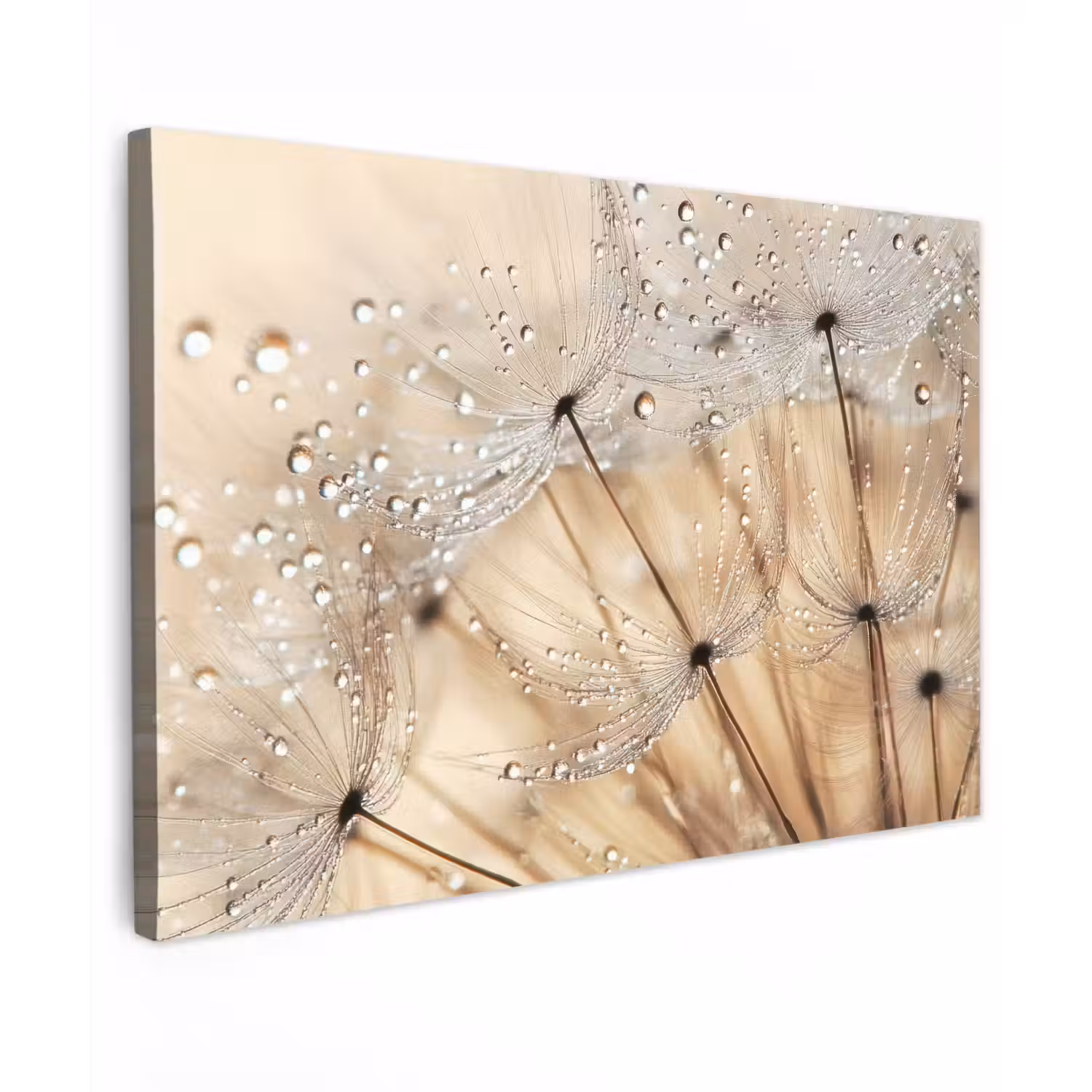 Paardenbloem - Abstract - Natuur - Beige canvas 2cm klein -z3d