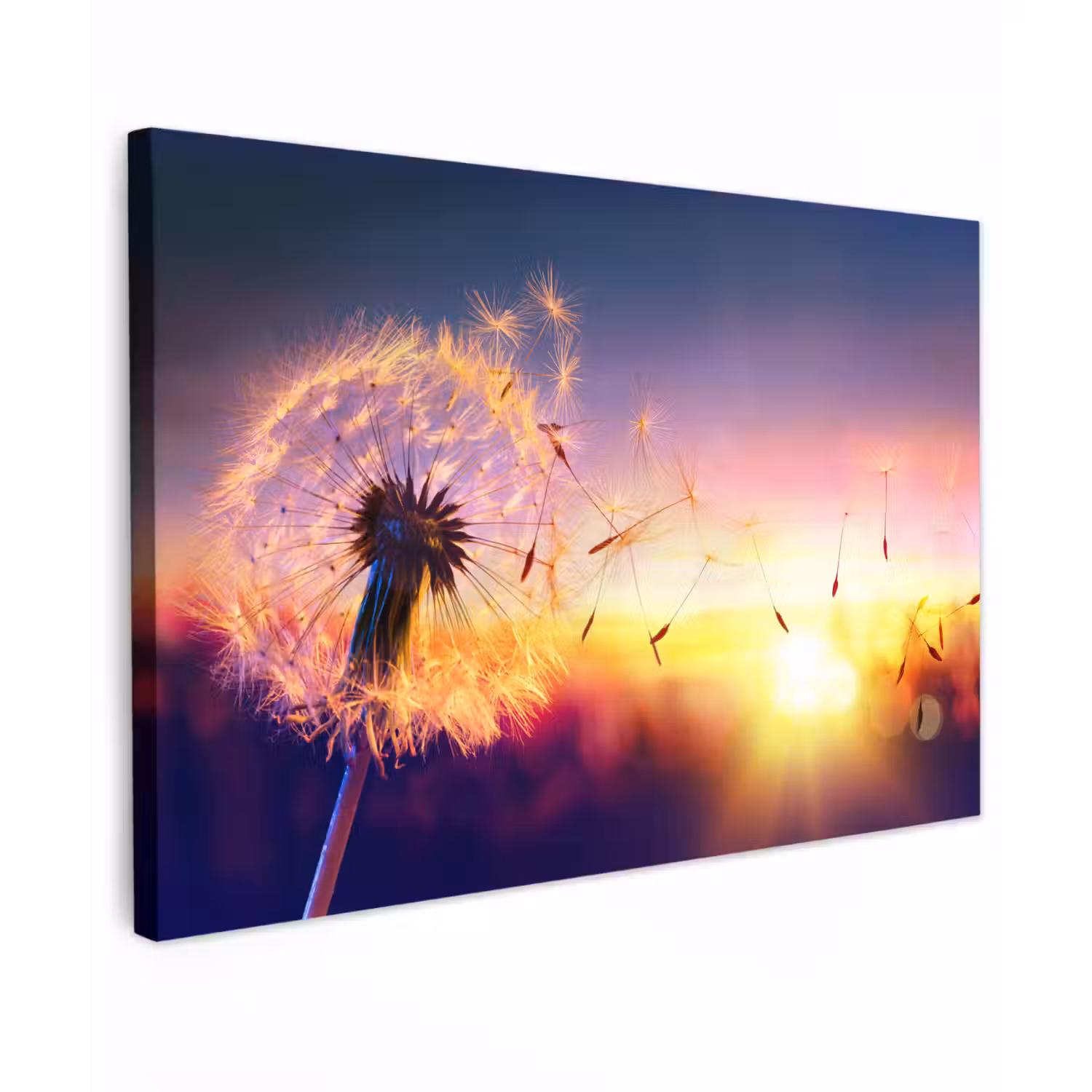 Paardenbloem - Bloemen - Zonsondergang - Horizon - Nacht canvas 2cm klein -z3d
