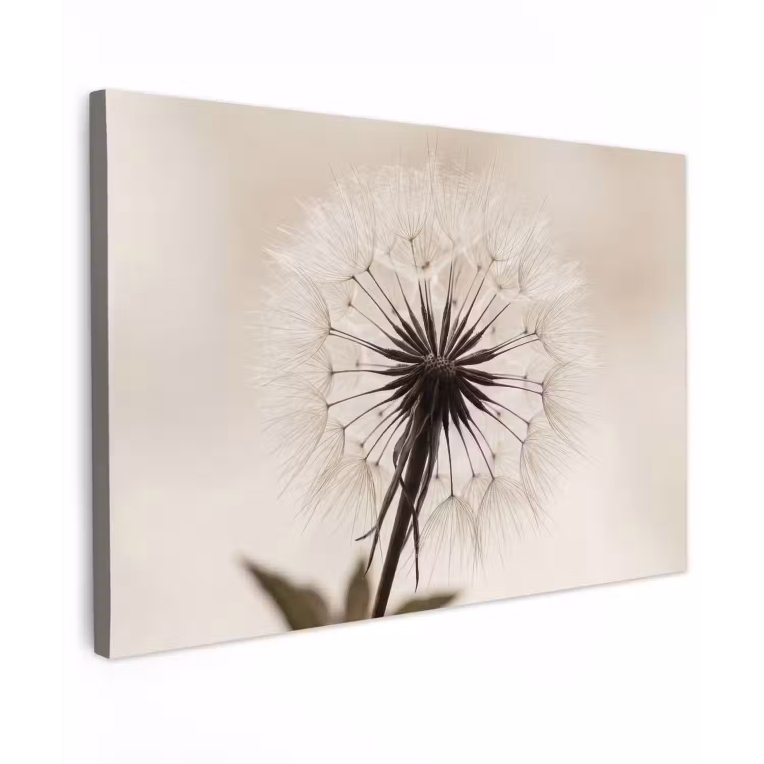 Paardenbloem - Minimalistisch - Wit canvas 2cm klein -z3d