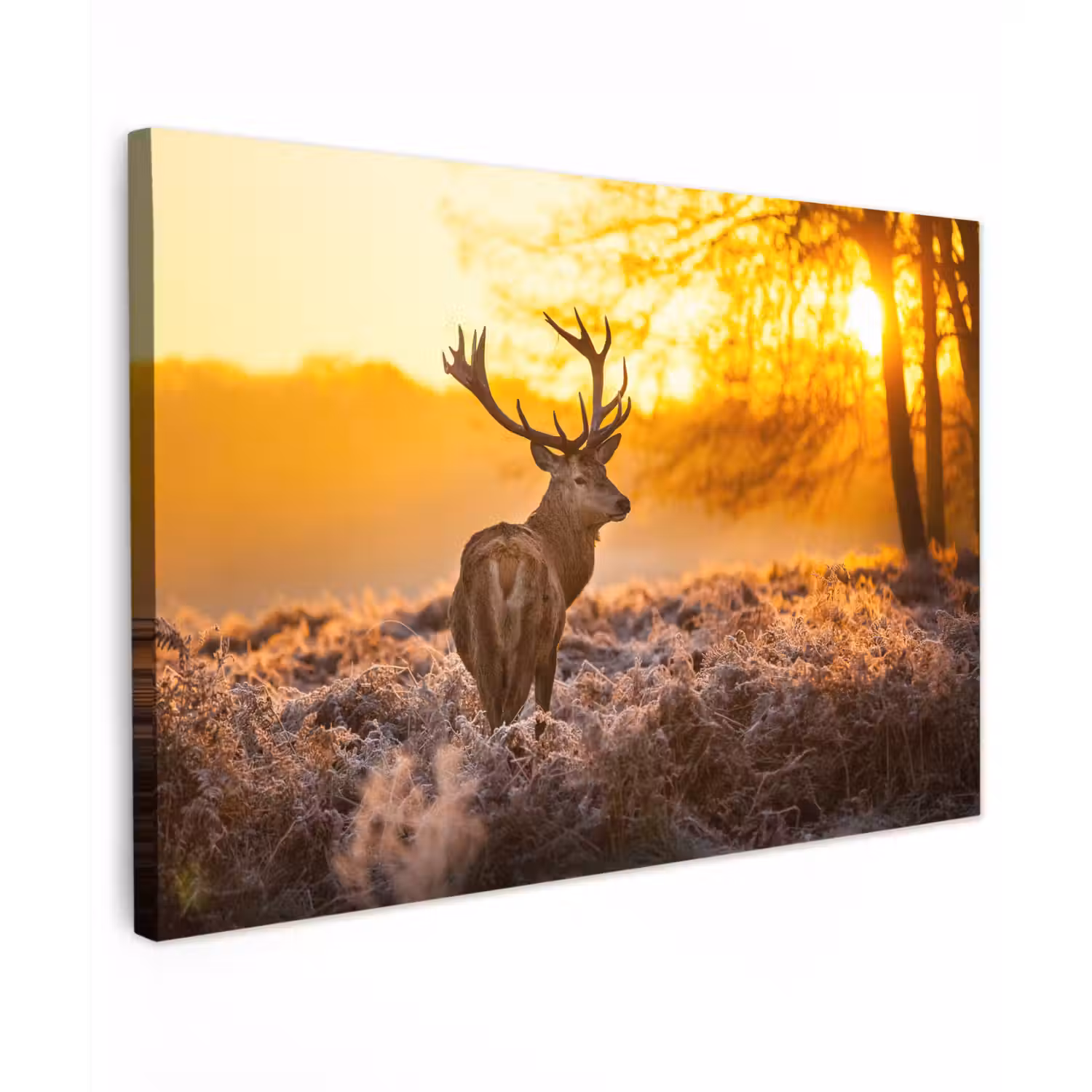 Hert - Dieren - Zonsondergang - Winter - Heide - Natuur canvas 2cm klein -z3d