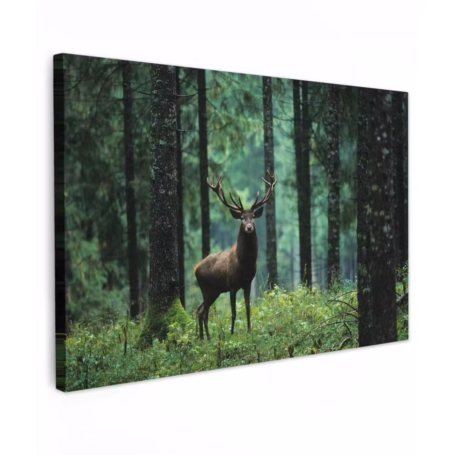 Hert - Bos - Bomen - Dieren - Natuur canvas 2cm klein -z3d