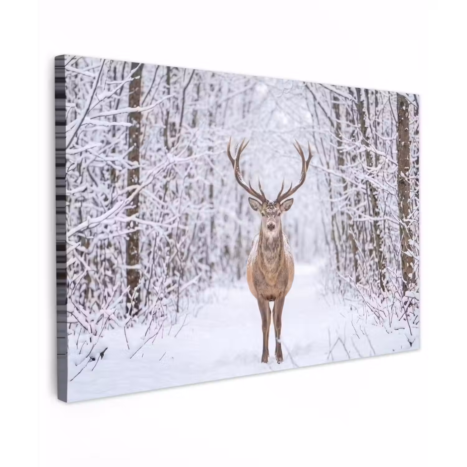 Hert - Winter - Bos - Natuur - Wit canvas 2cm klein -z3d