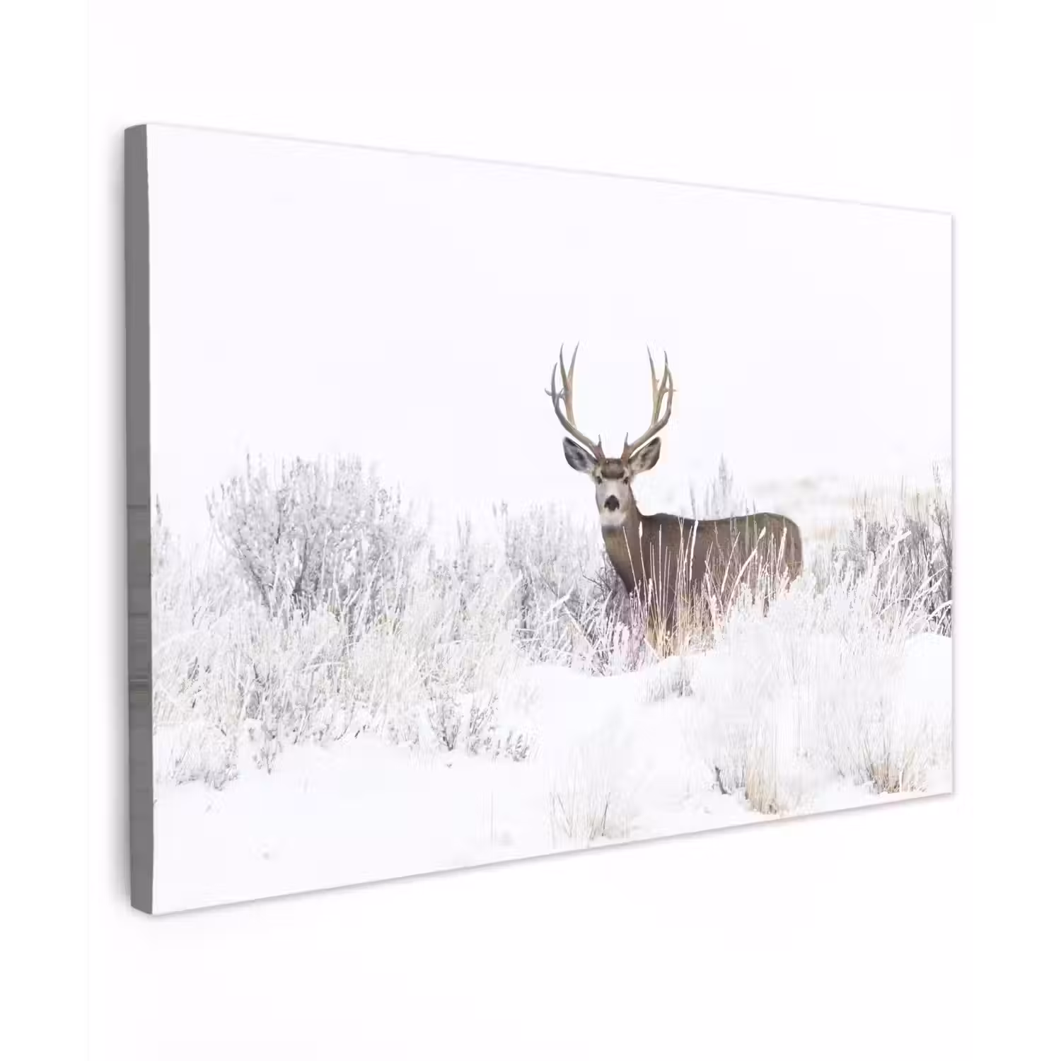 Hert - Winter - Sneeuw - Dieren - Seizoenen - Wit canvas 2cm klein -z3d