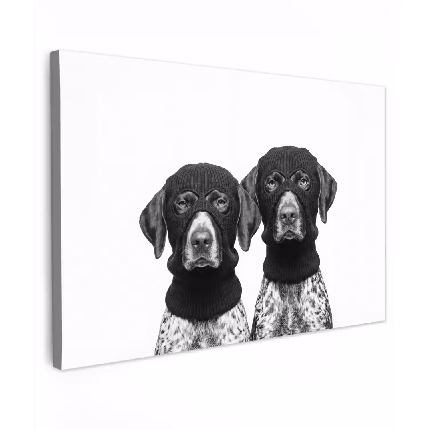 Honden - Bivakmuts - Zwart - wit canvas 2cm klein -z3d