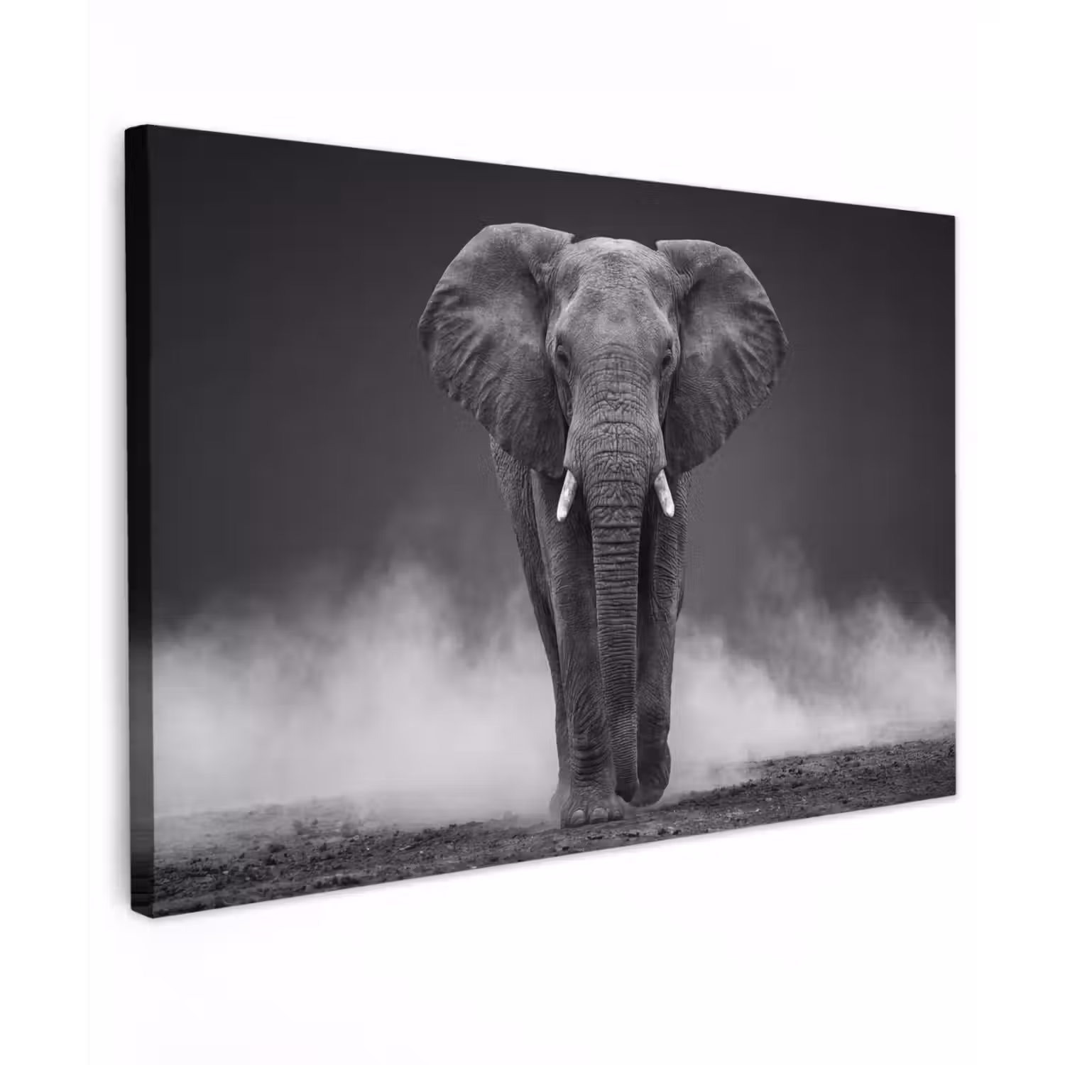 Olifant - Zwart - Wit - Rook canvas 2cm klein -z3d