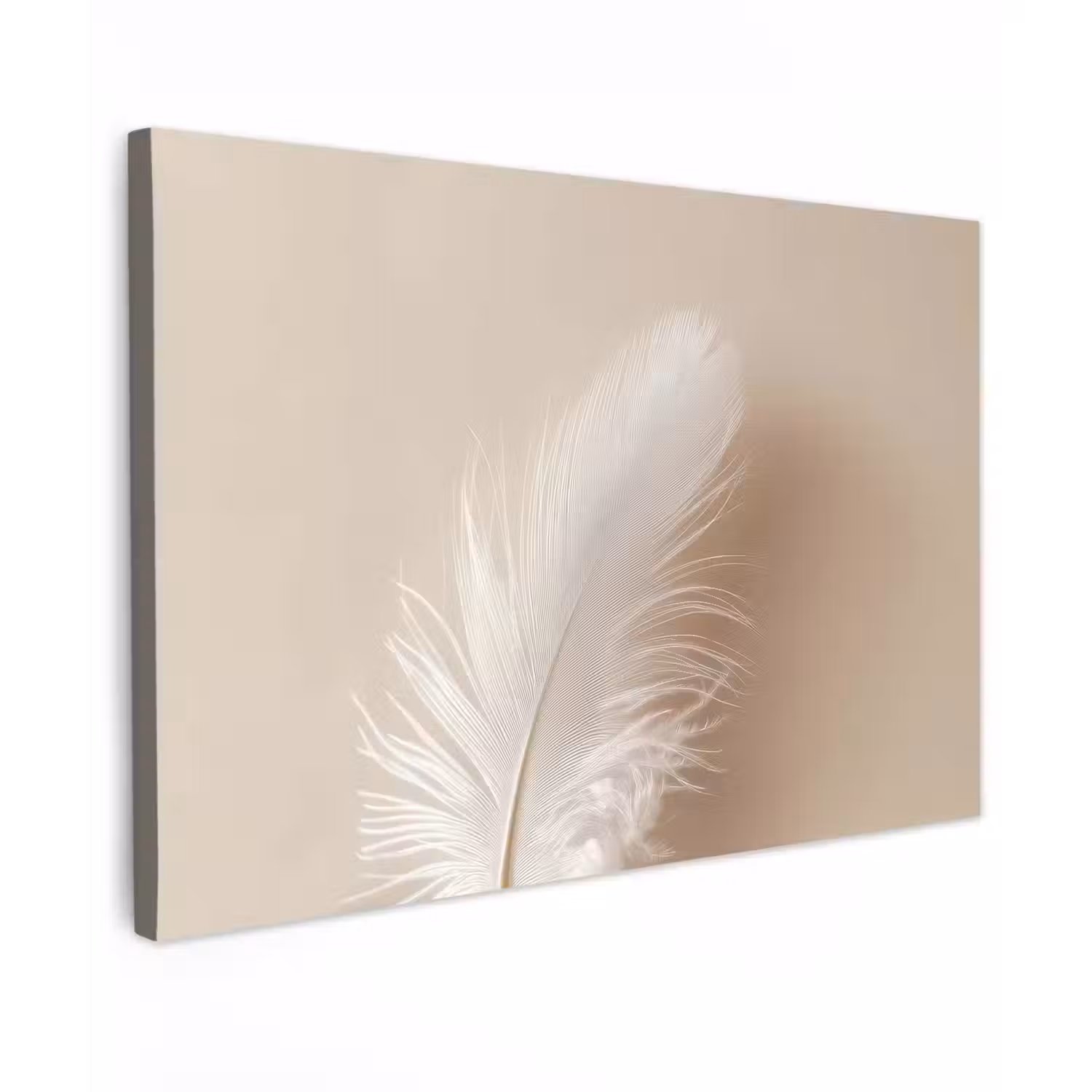 Veer - Minimalistisch - Roze canvas 2cm klein -z3d