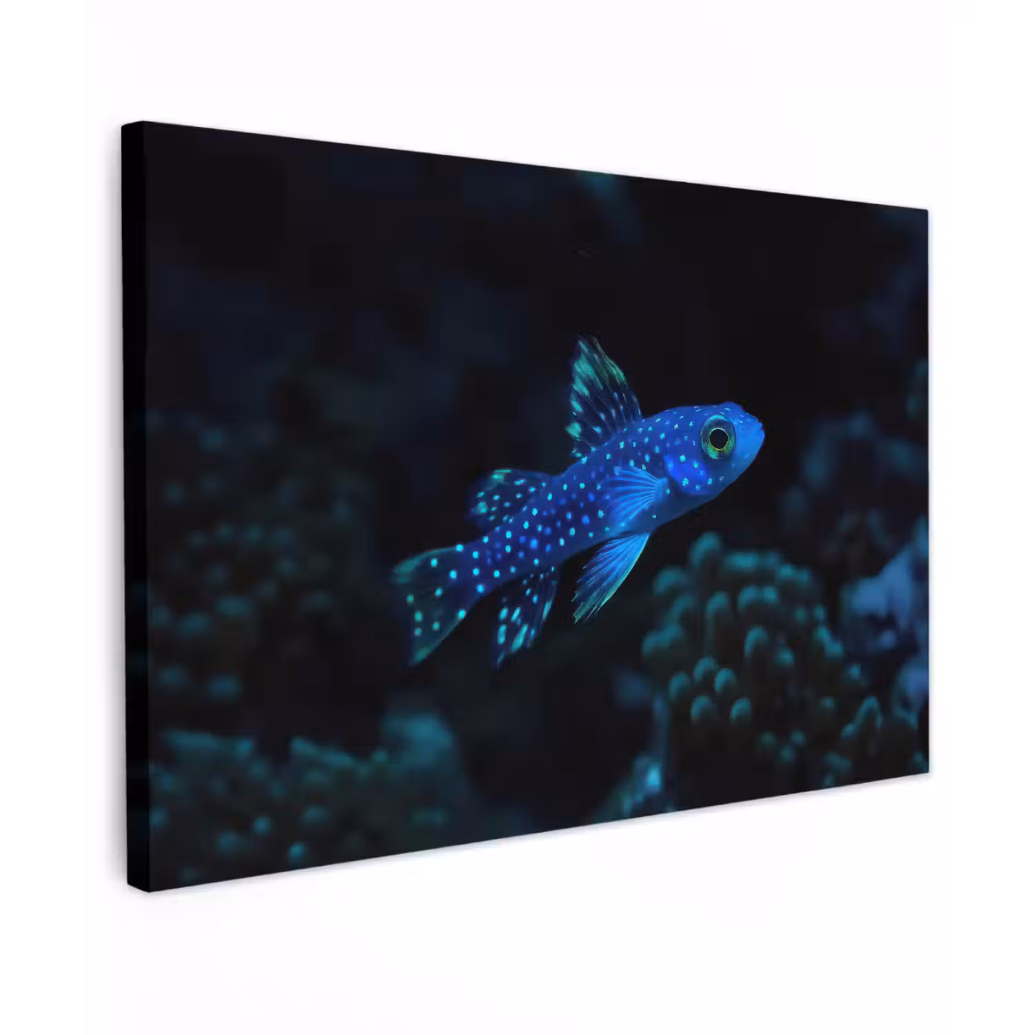 Vis - Stippen - Koraal - Blauw canvas 2cm klein -z3d