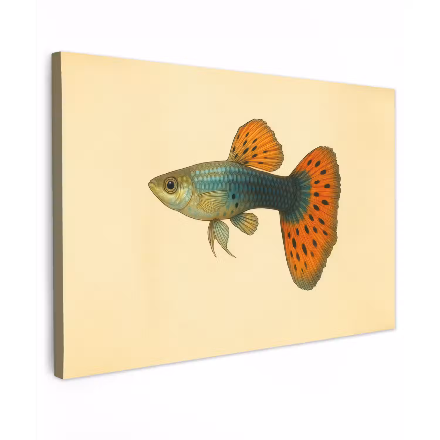 Vis - illustratie - Stippen - Oranje canvas 2cm klein -z3d
