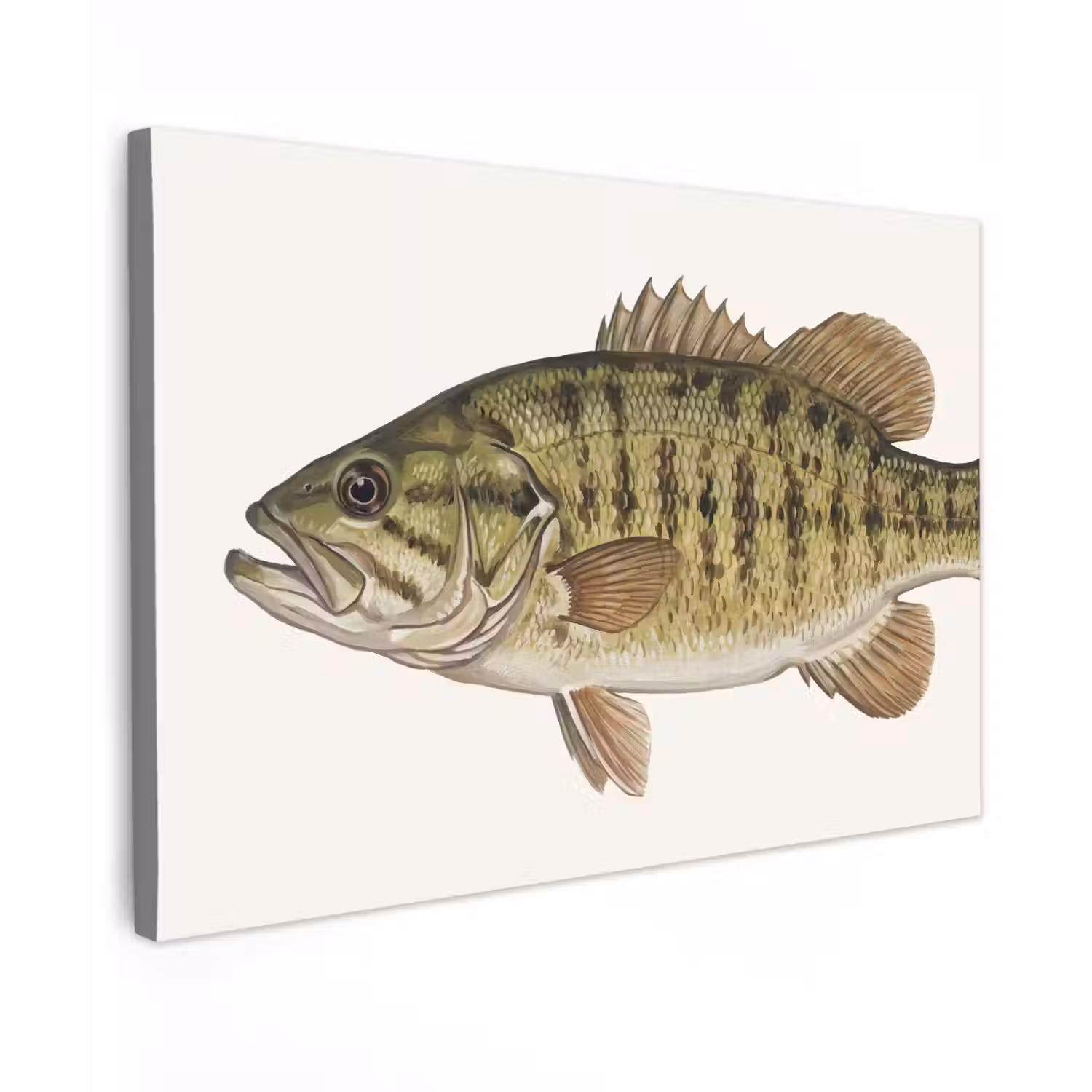 Vissen - Natuur - Vintage canvas 2cm klein -z3d