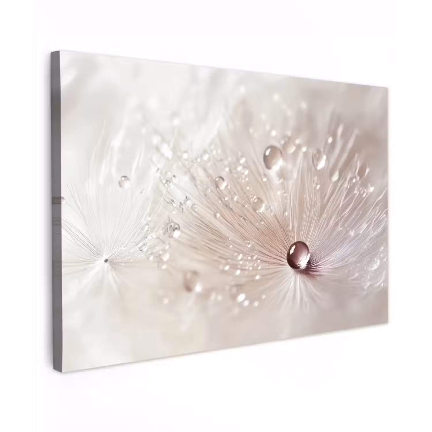 Bloem - Abstract - Wit - Water - Natuur canvas 2cm klein -z3d