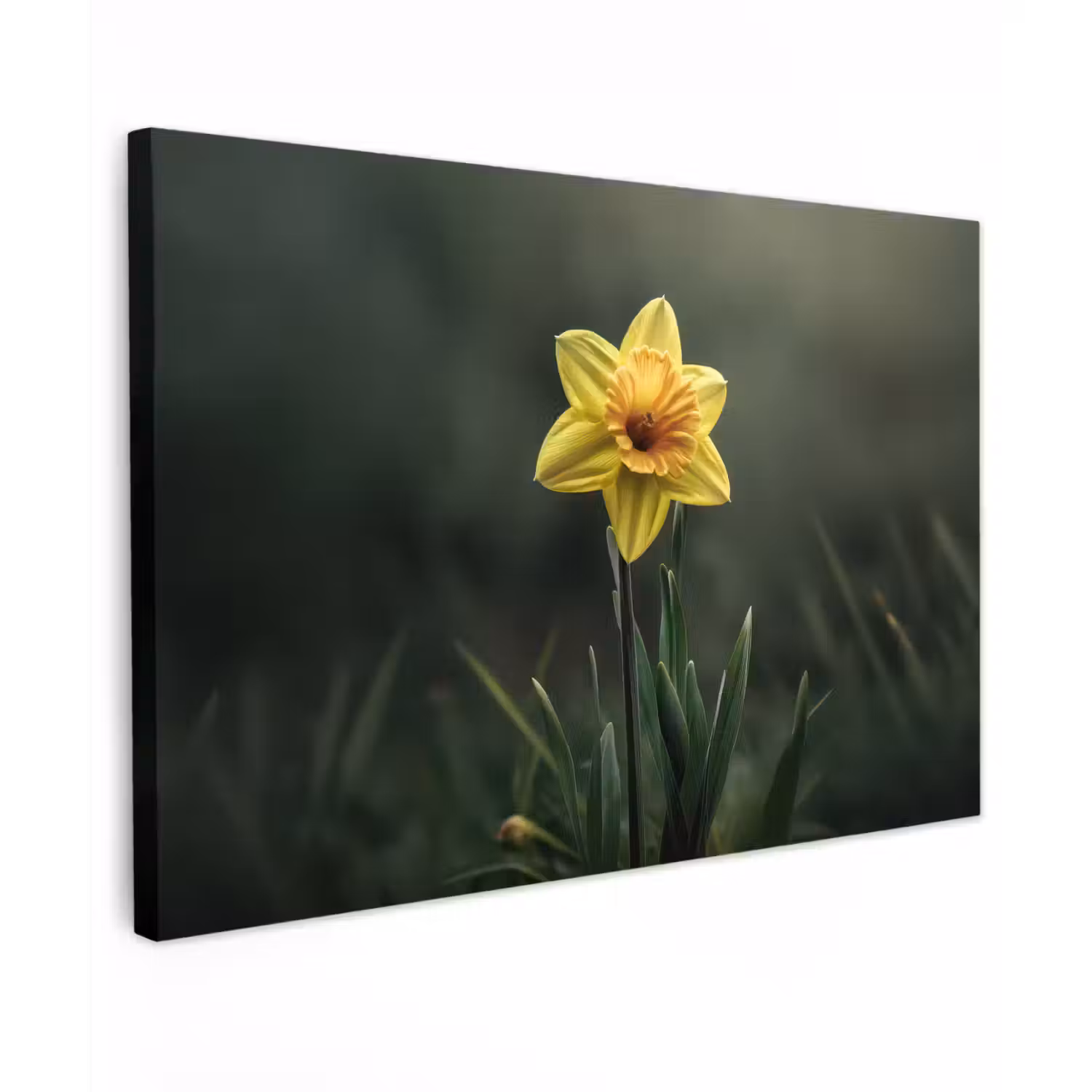Bloem - Narcis - Gras - Geel canvas 2cm klein -z3d