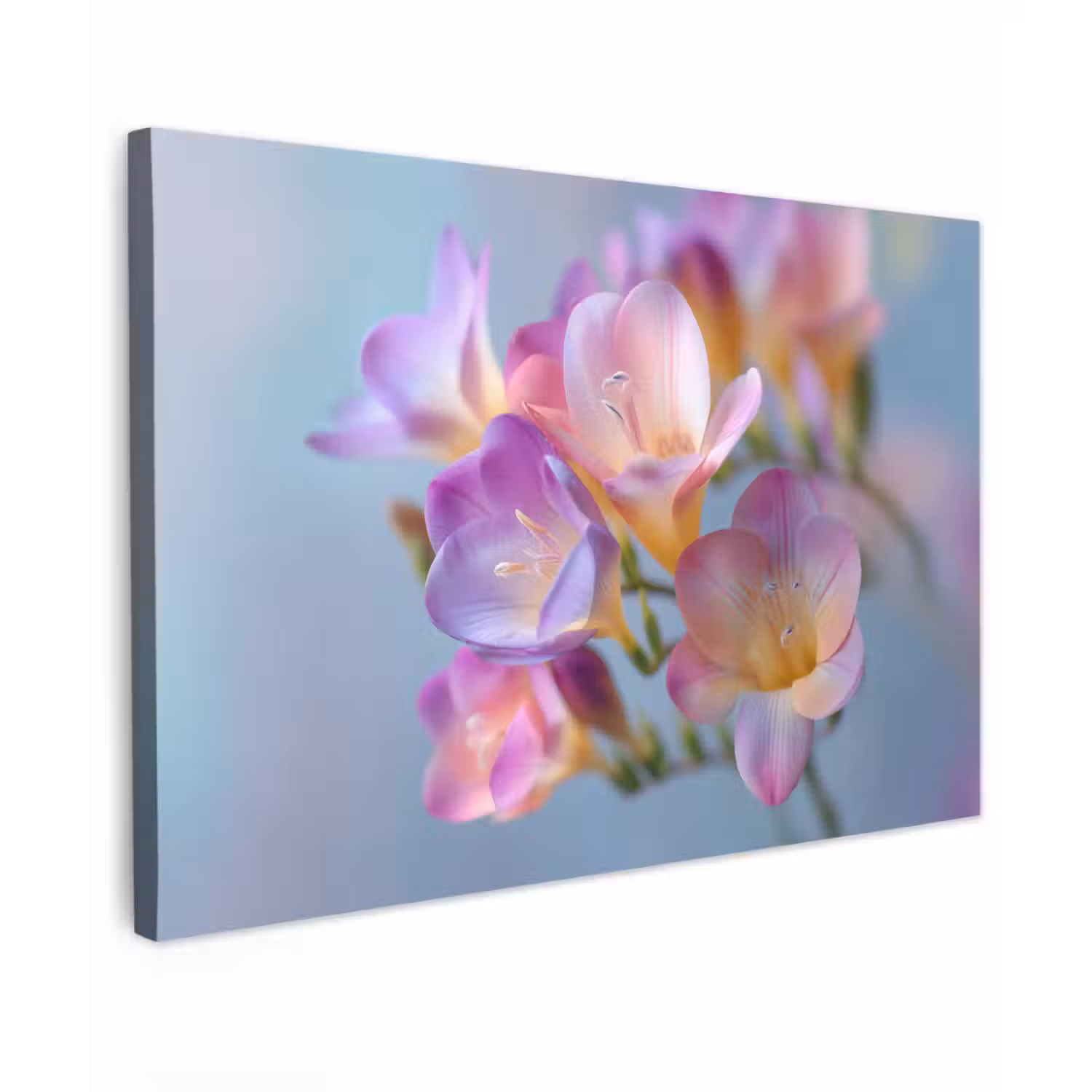 Bloemen - Paars - Overloop - Meeldraden canvas 2cm klein -z3d