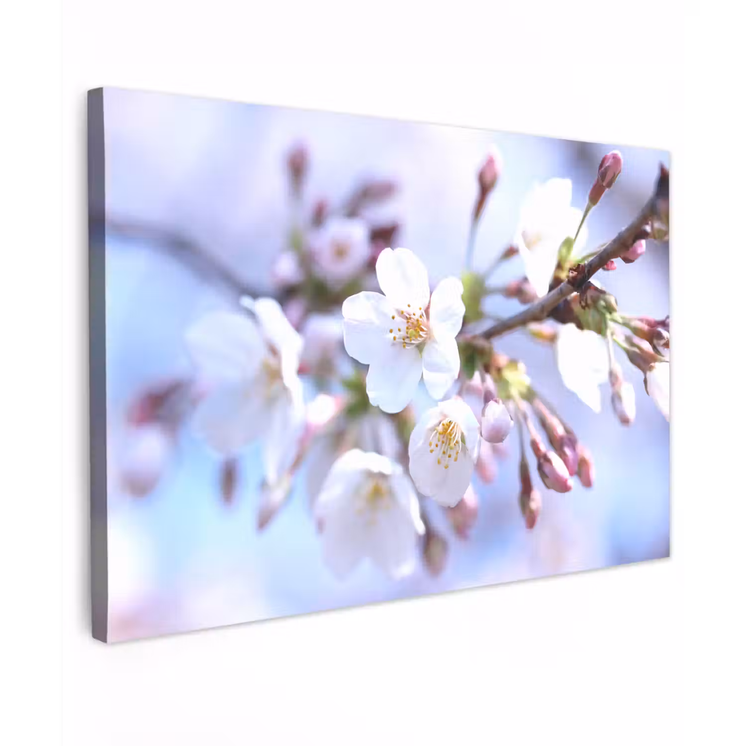 Bloemen - Sakura - Tak - Bloesem takken canvas 2cm klein -z3d