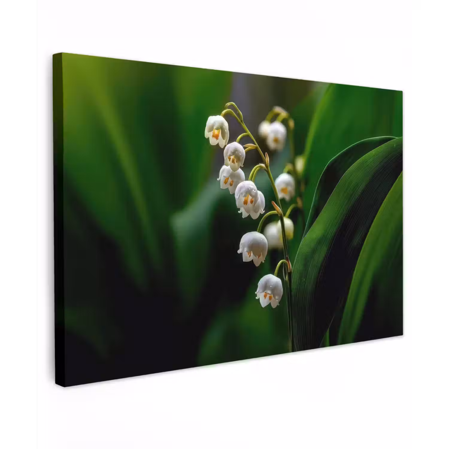 Bloemen - Wit - Bladeren - Lelietjes canvas 2cm klein -z3d