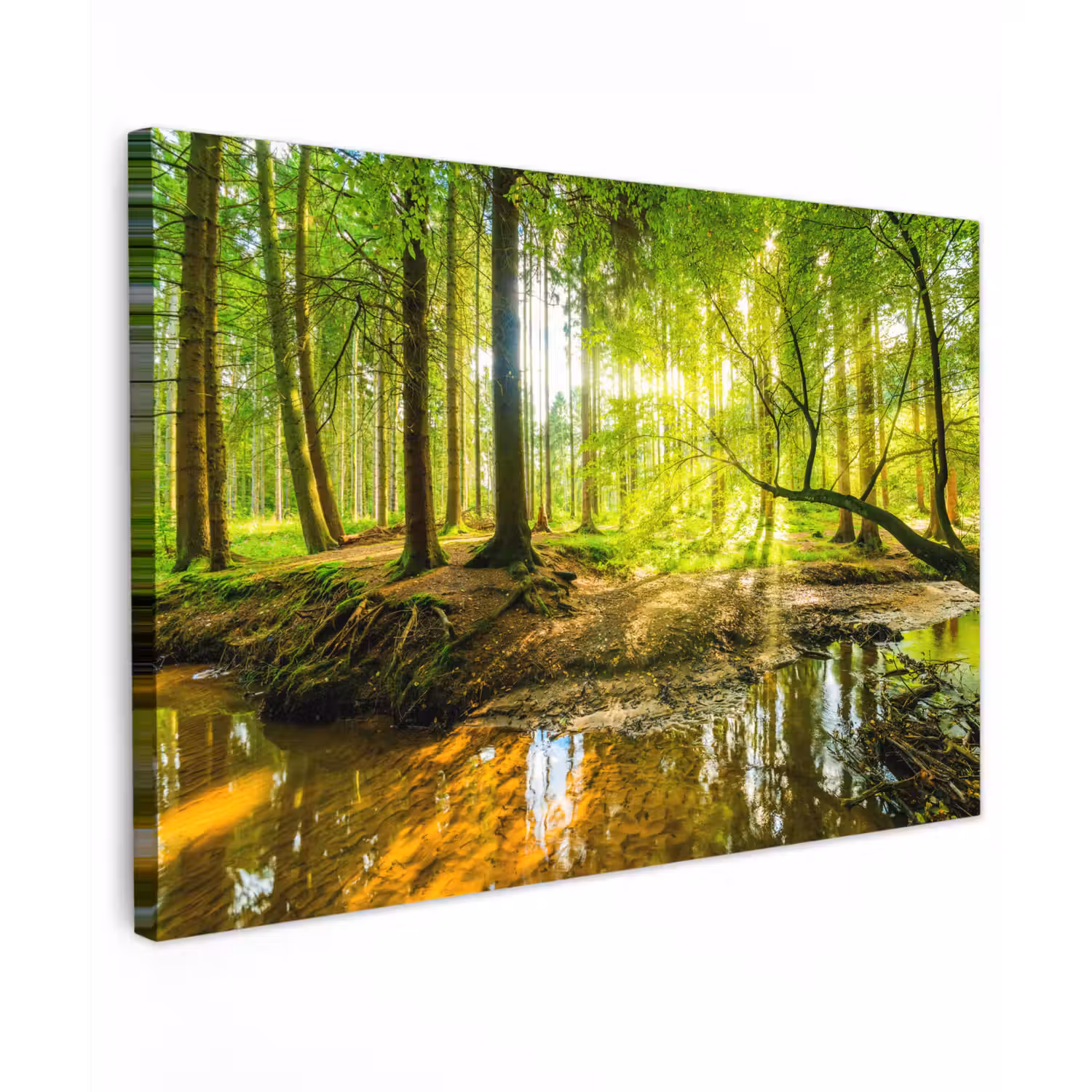 Bos - Landschap - Water - Bomen - Zon - Groen - Natuur canvas 2cm klein -z3d