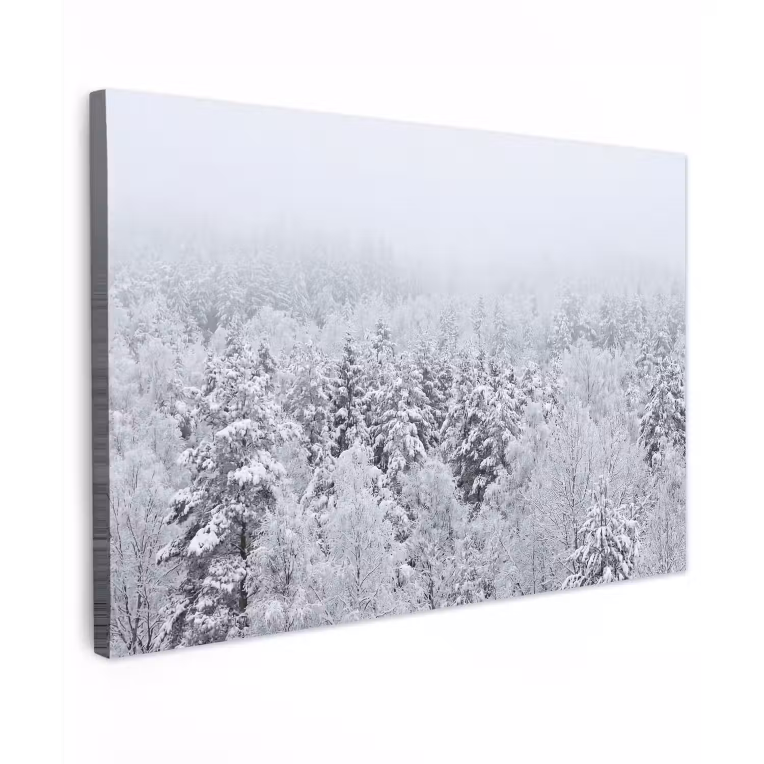 Bos - Sneeuw - Winter - Natuur - Wit canvas 2cm klein -z3d