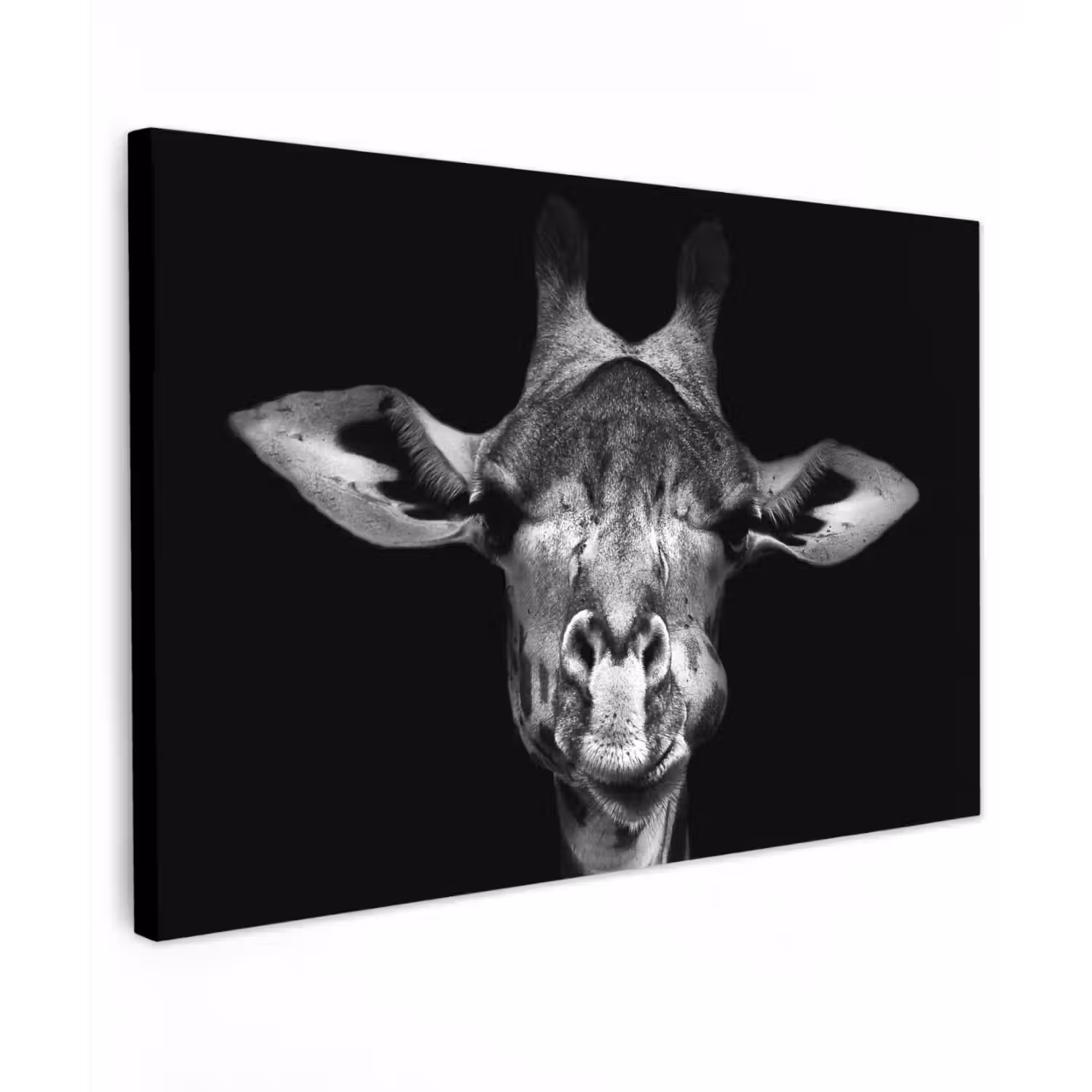 Giraffe - Portret - Dieren - Zwart - Wit canvas 2cm klein -z3d