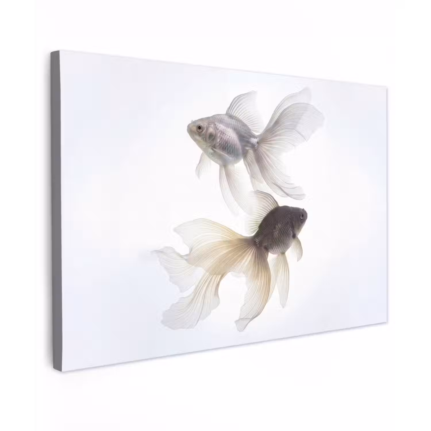Goudvissen - Modern - Wit canvas 2cm klein -z3d