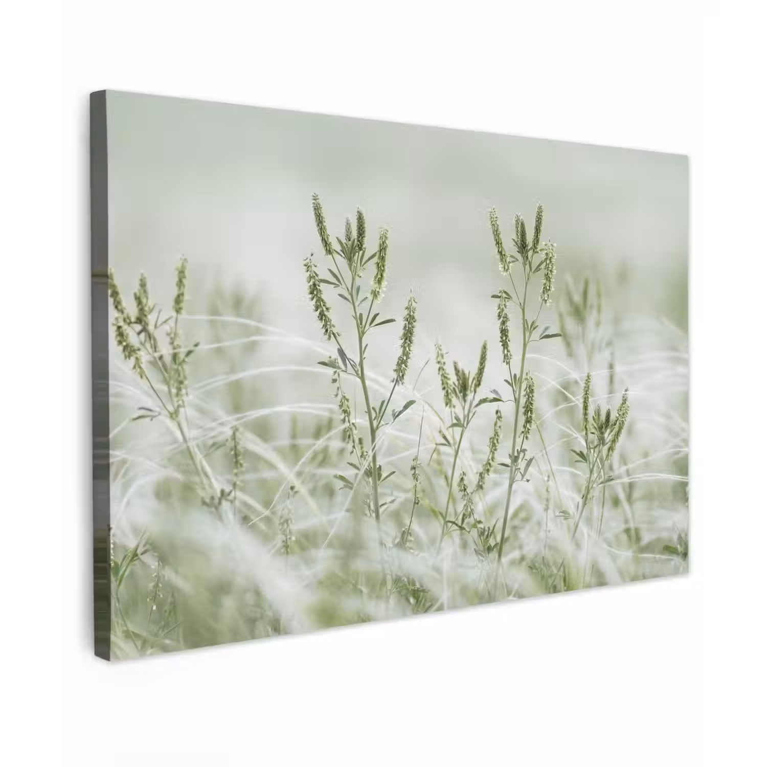 Grassen - Minimalistisch - Groen canvas 2cm klein -z3d