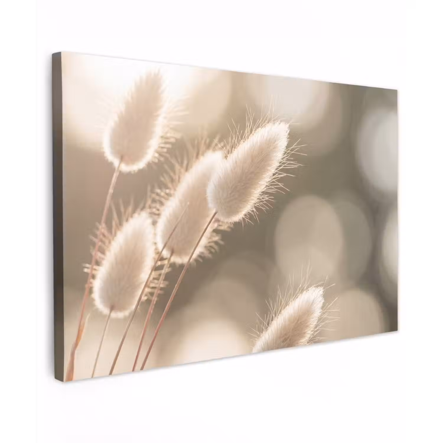 Hazestaartgras - Wit - Zonlicht canvas 2cm klein -z3d