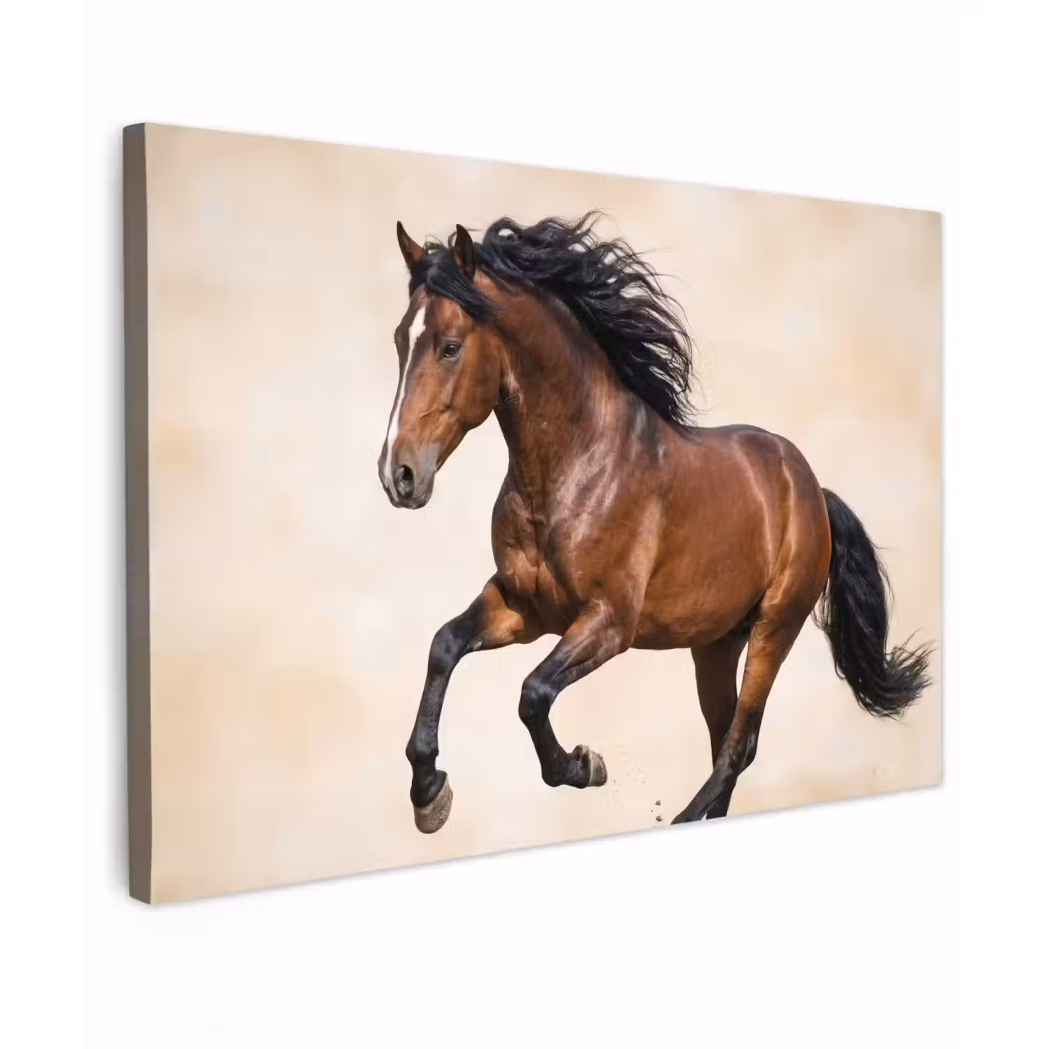 Paard - Galop - Energie canvas 2cm klein -z3d