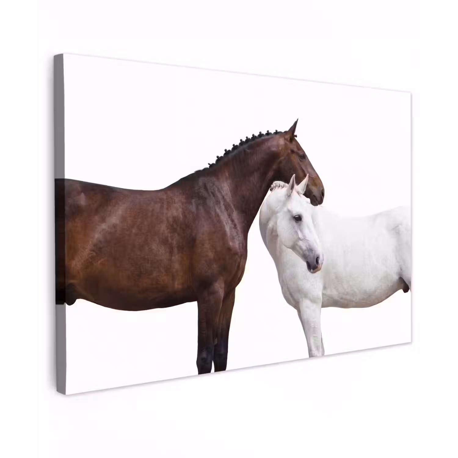 Paard - Modern - Balans canvas 2cm klein -z3d