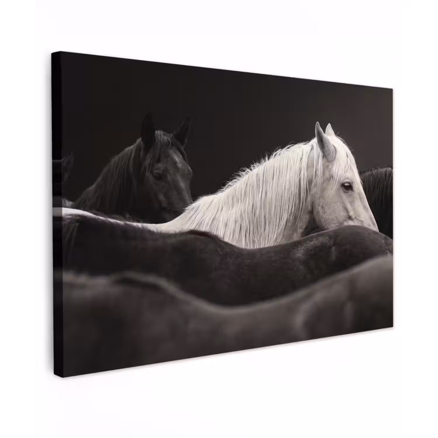 Paarden - Zwart - Wit - Kudde canvas 2cm klein -z3d