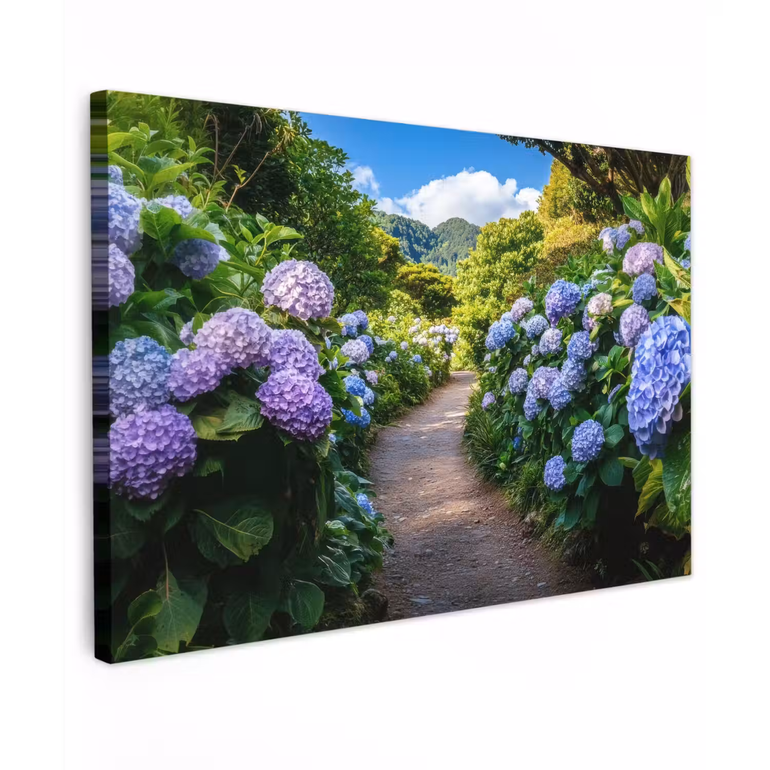 Hortsensia - Pad - Bloemen canvas 2cm klein -z3d