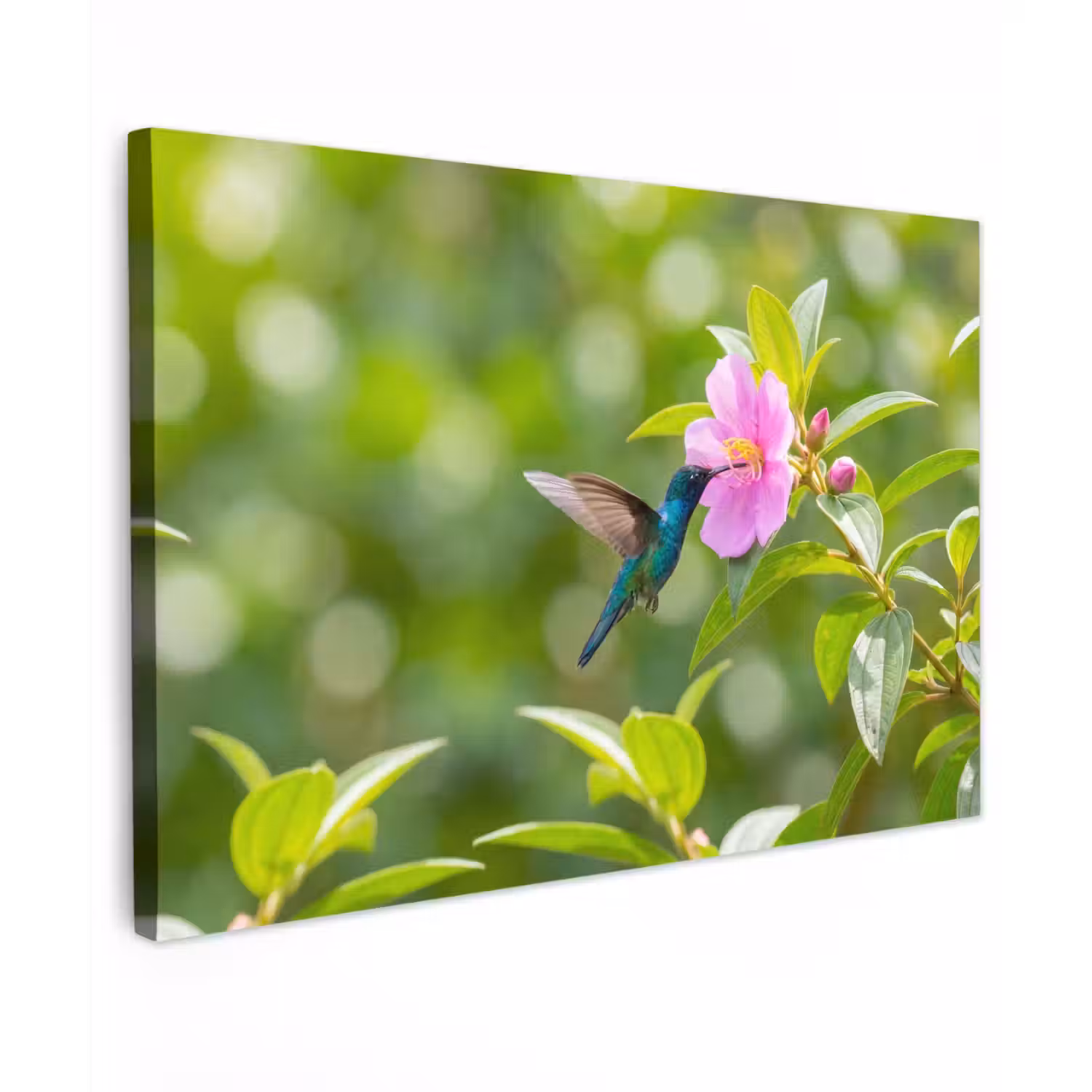 Kolibrie - Bloem - Natuur - Groen canvas 2cm klein -z3d