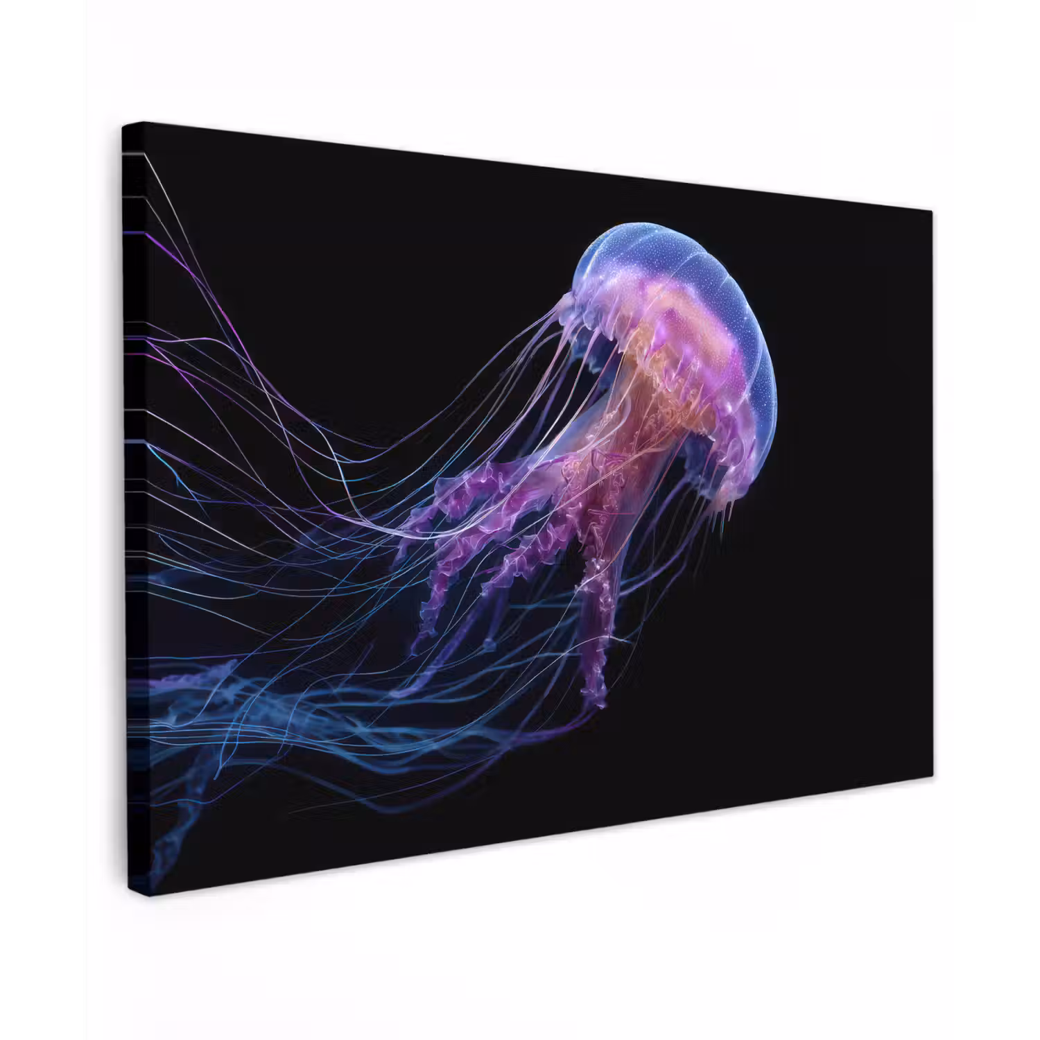 Kwal - Doorzichtig - Roze - Tentakels canvas 2cm klein -z3d