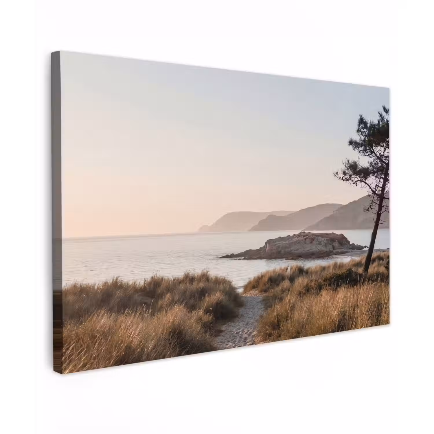 Landschap - Kust - Duinen canvas 2cm klein -z3d