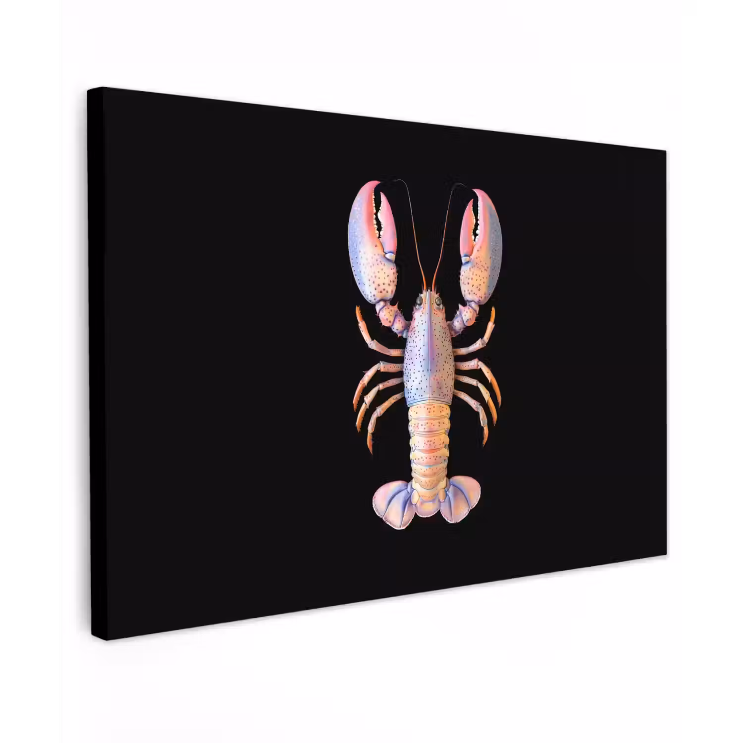 Kreeft - Roze - Zacht - Zwart canvas 2cm klein -z3d