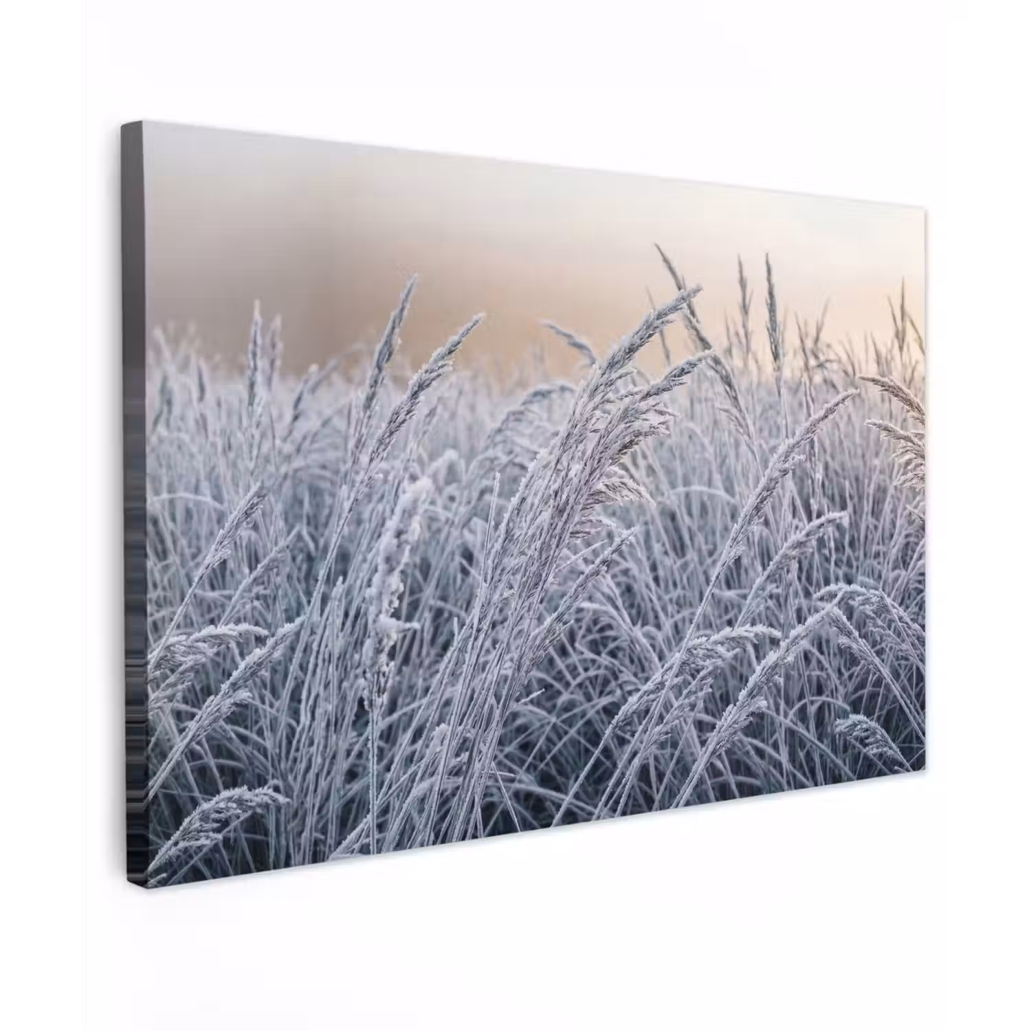 Rijp - Gras - Kristallen - Winter - Minimalistisch canvas 2cm klein -z3d