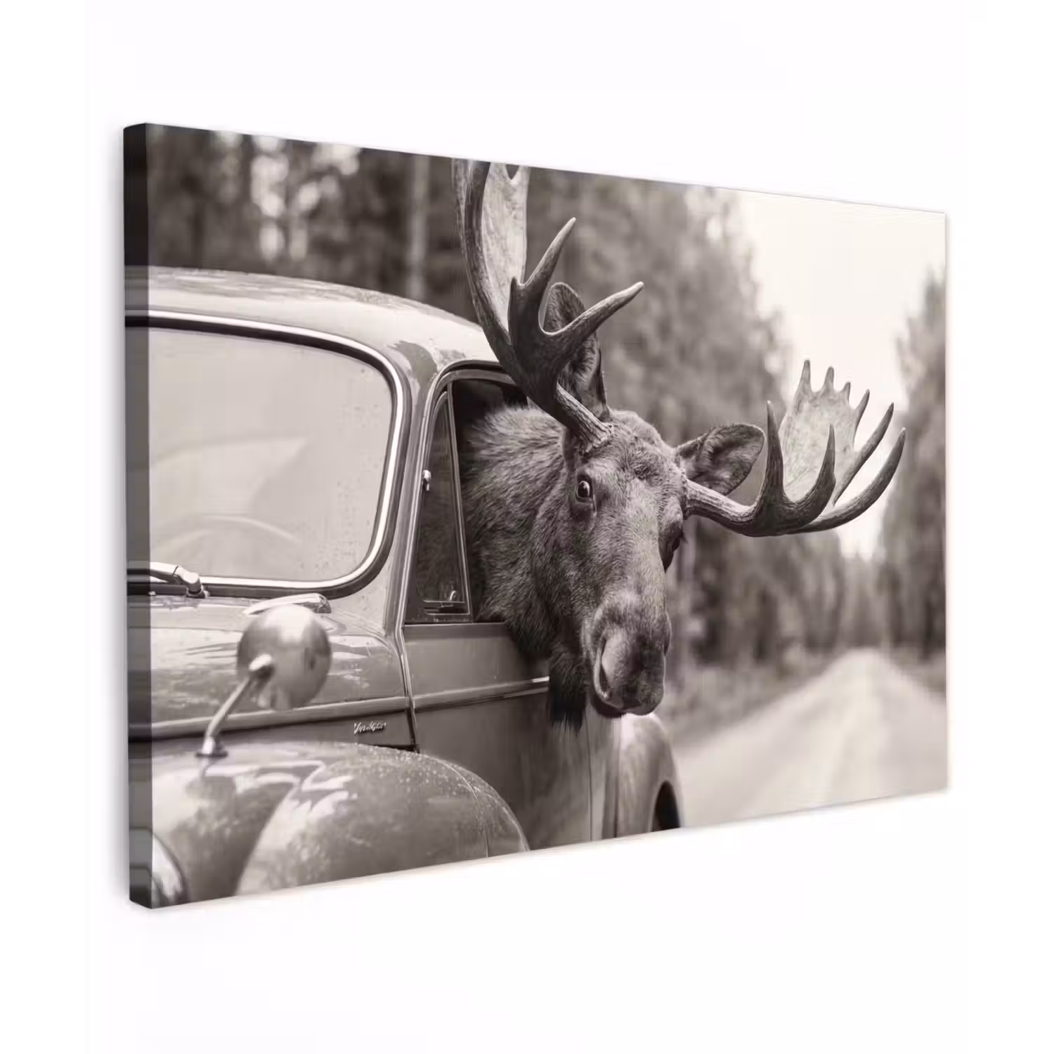 Eland - Auto - Gewei - Zwart - Wit canvas 2cm klein -z3d