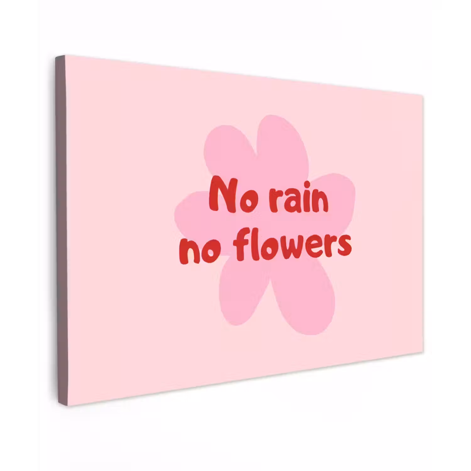 No rain no flowers - Bloem - Roze canvas 2cm klein -z3d