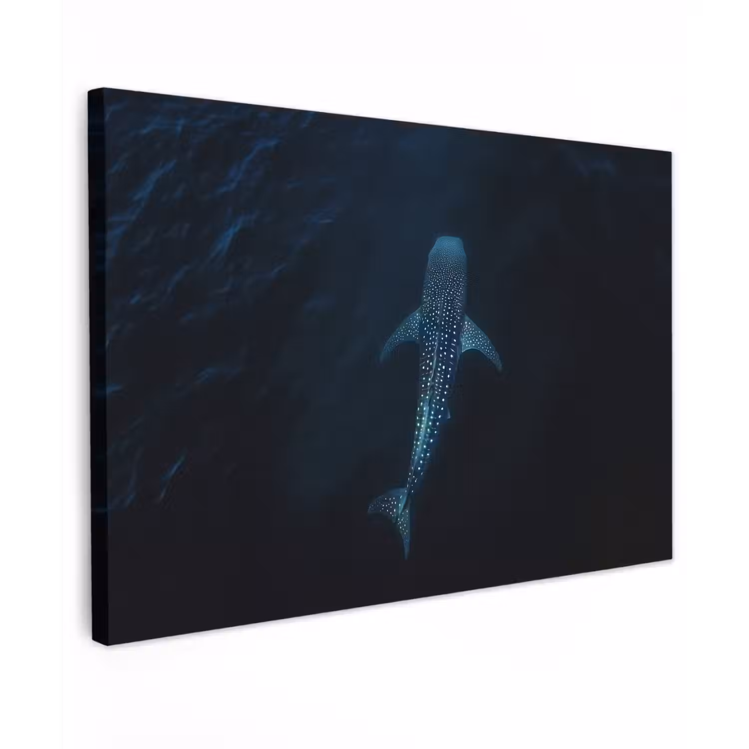 Oceaan - Walvishaai - Donkerblauw - Vlekken canvas 2cm klein -z3d